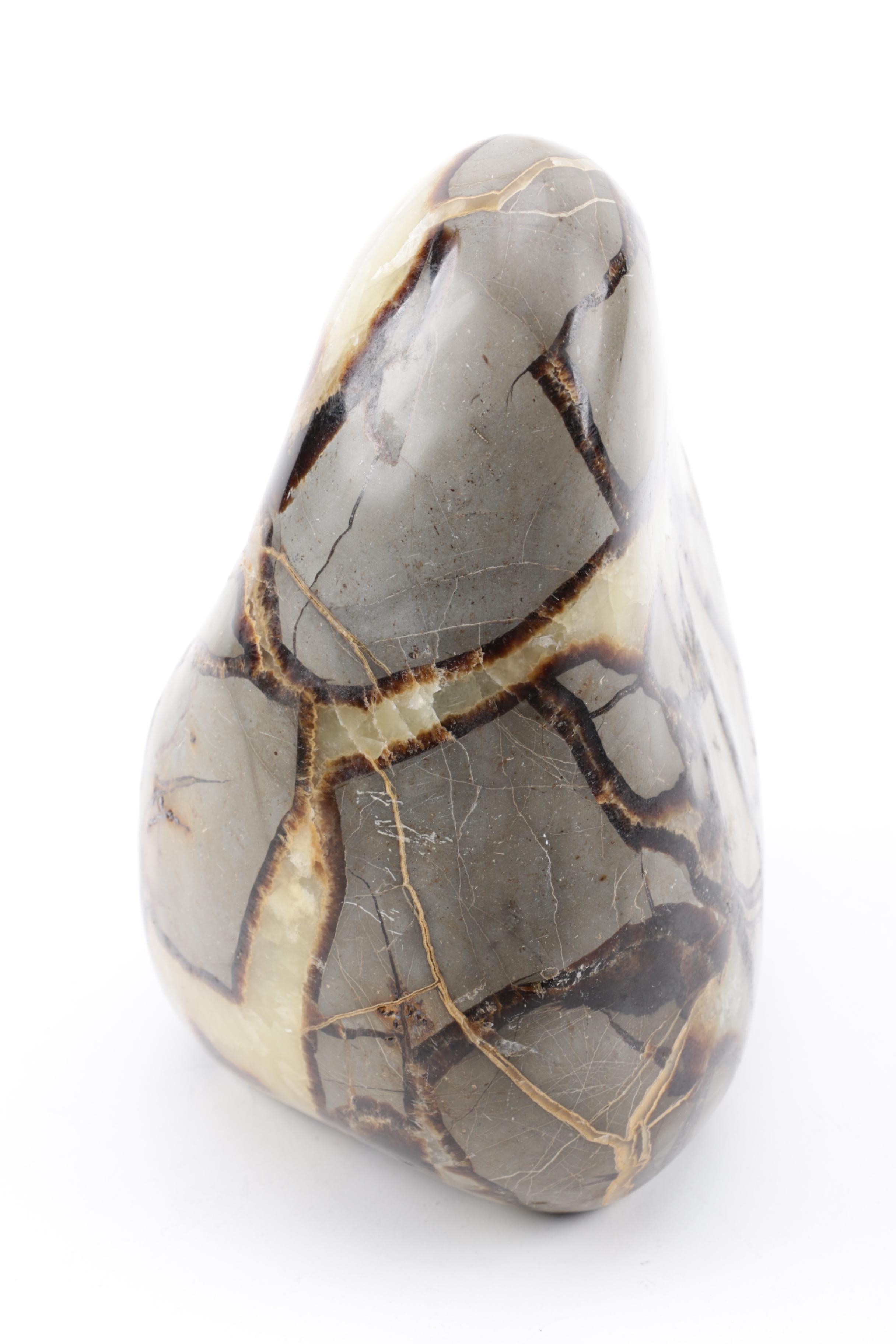Polished Septarian Nodule