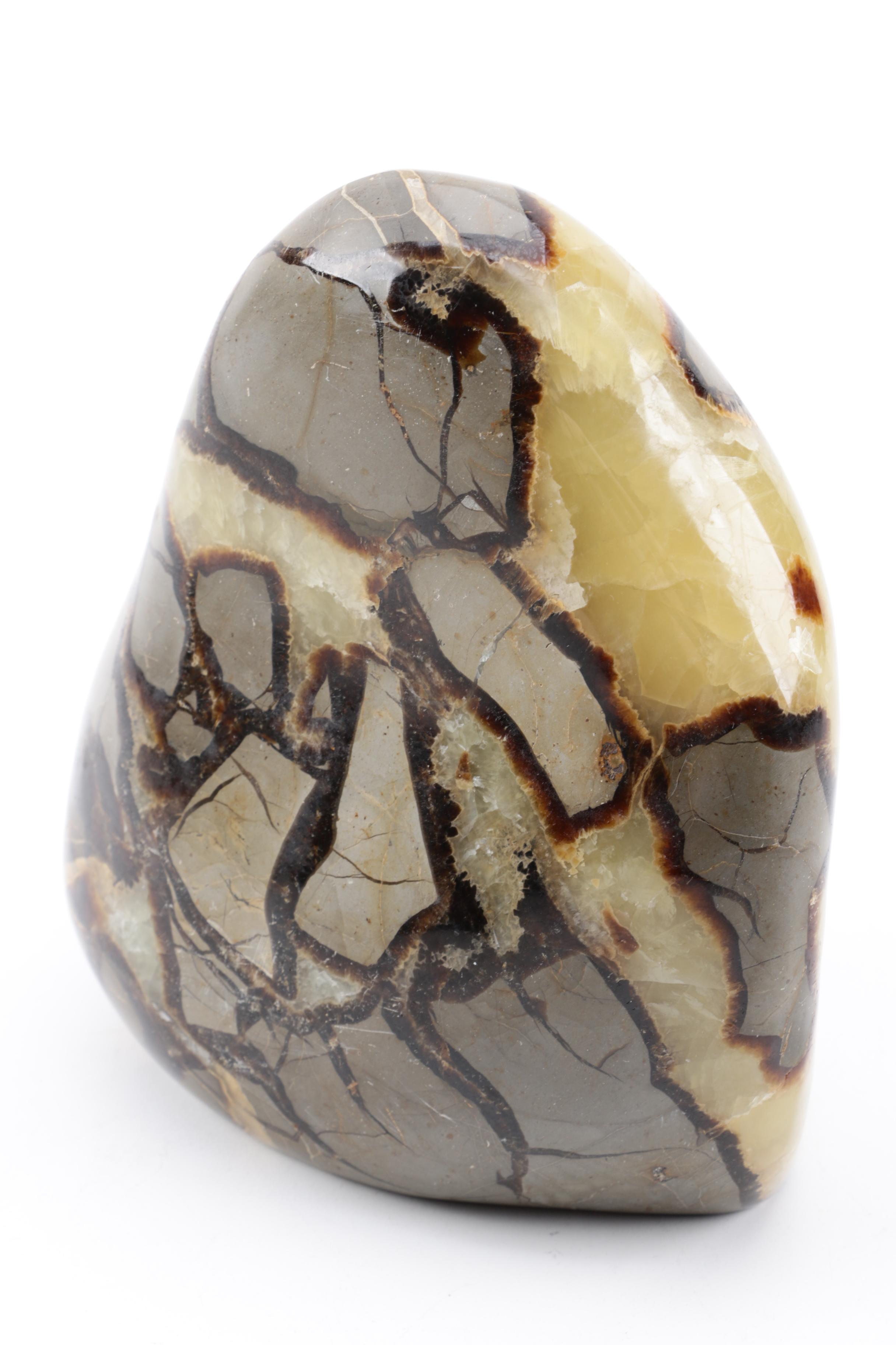 Polished Septarian Nodule
