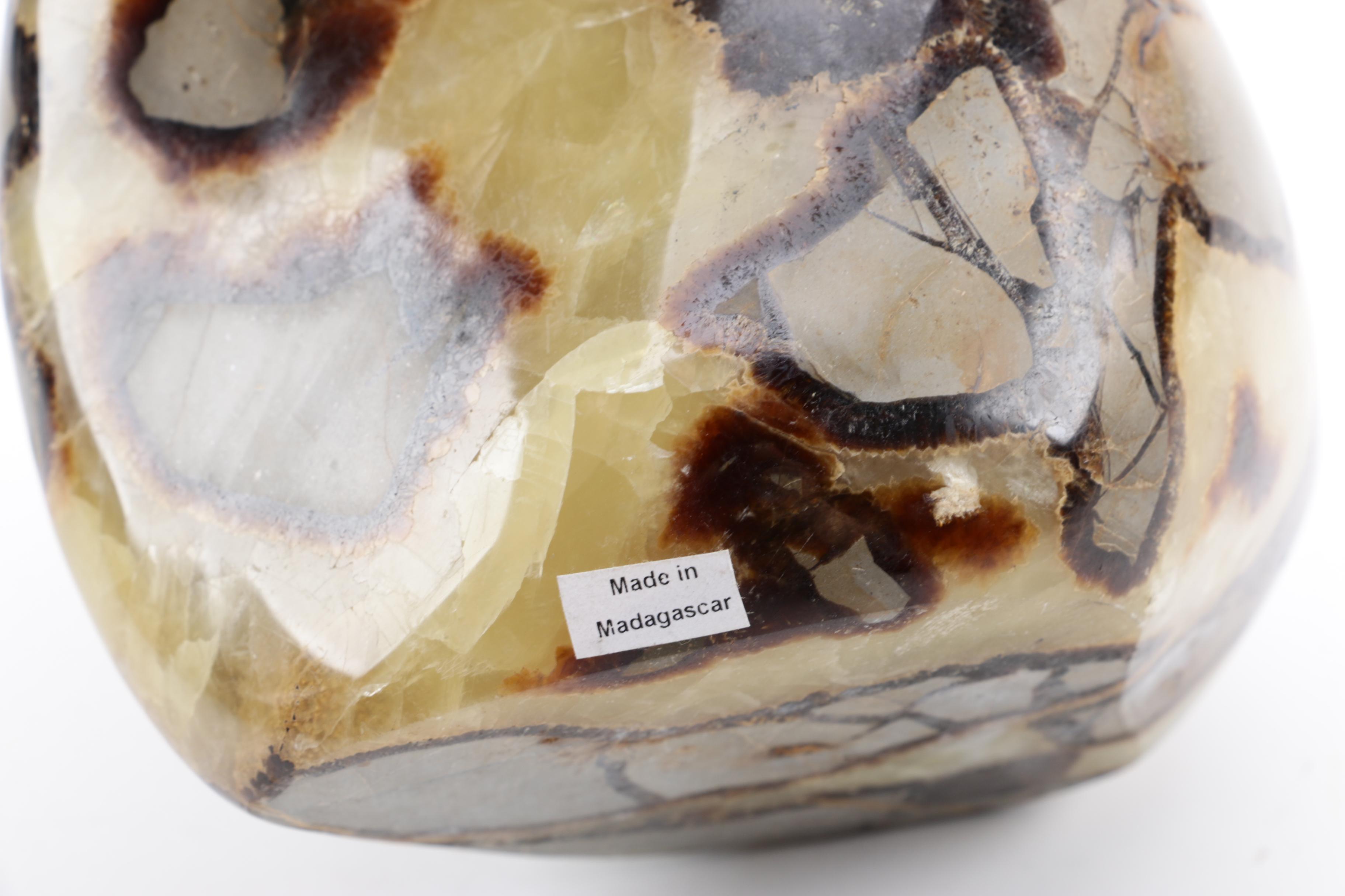 Polished Septarian Nodule