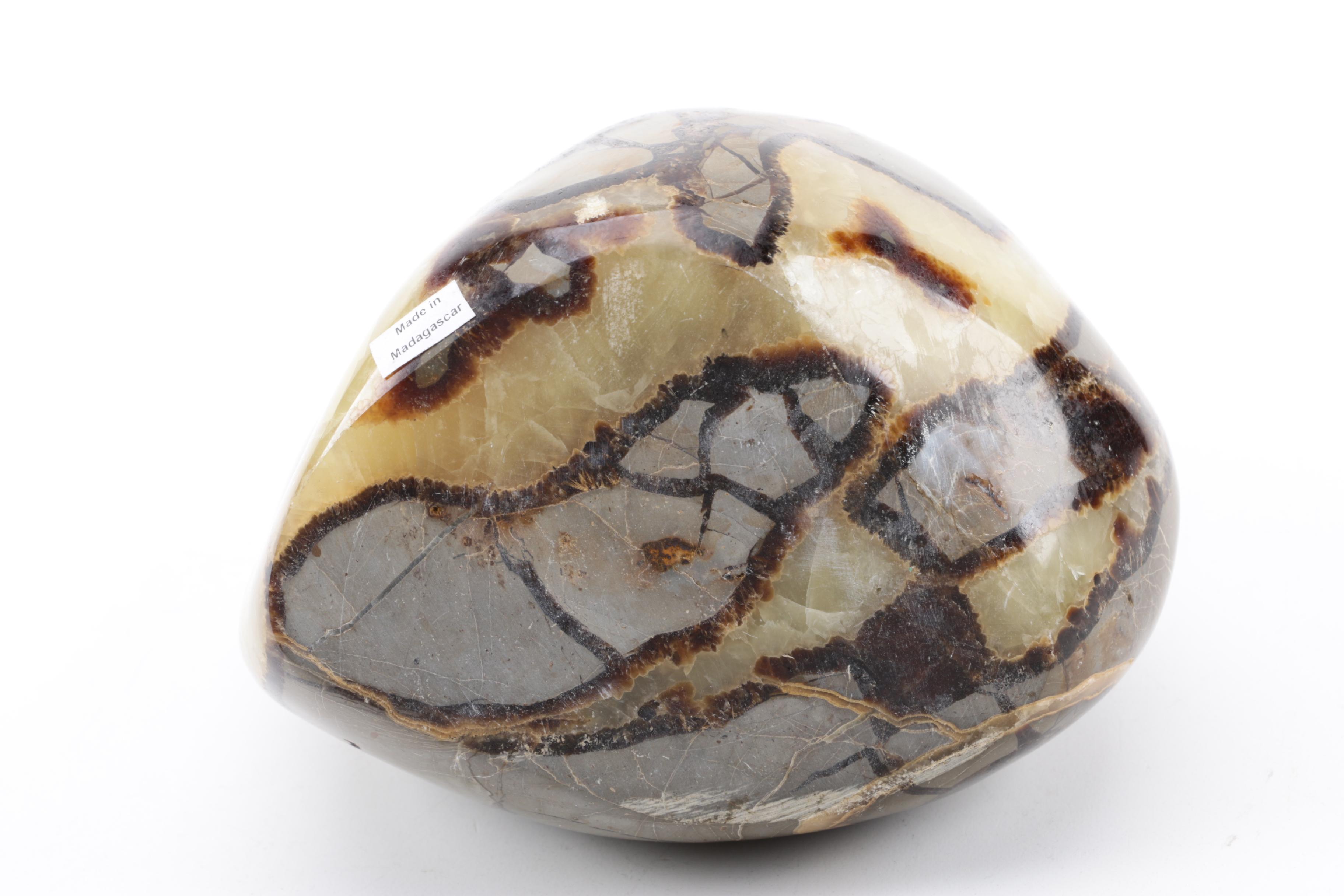 Polished Septarian Nodule