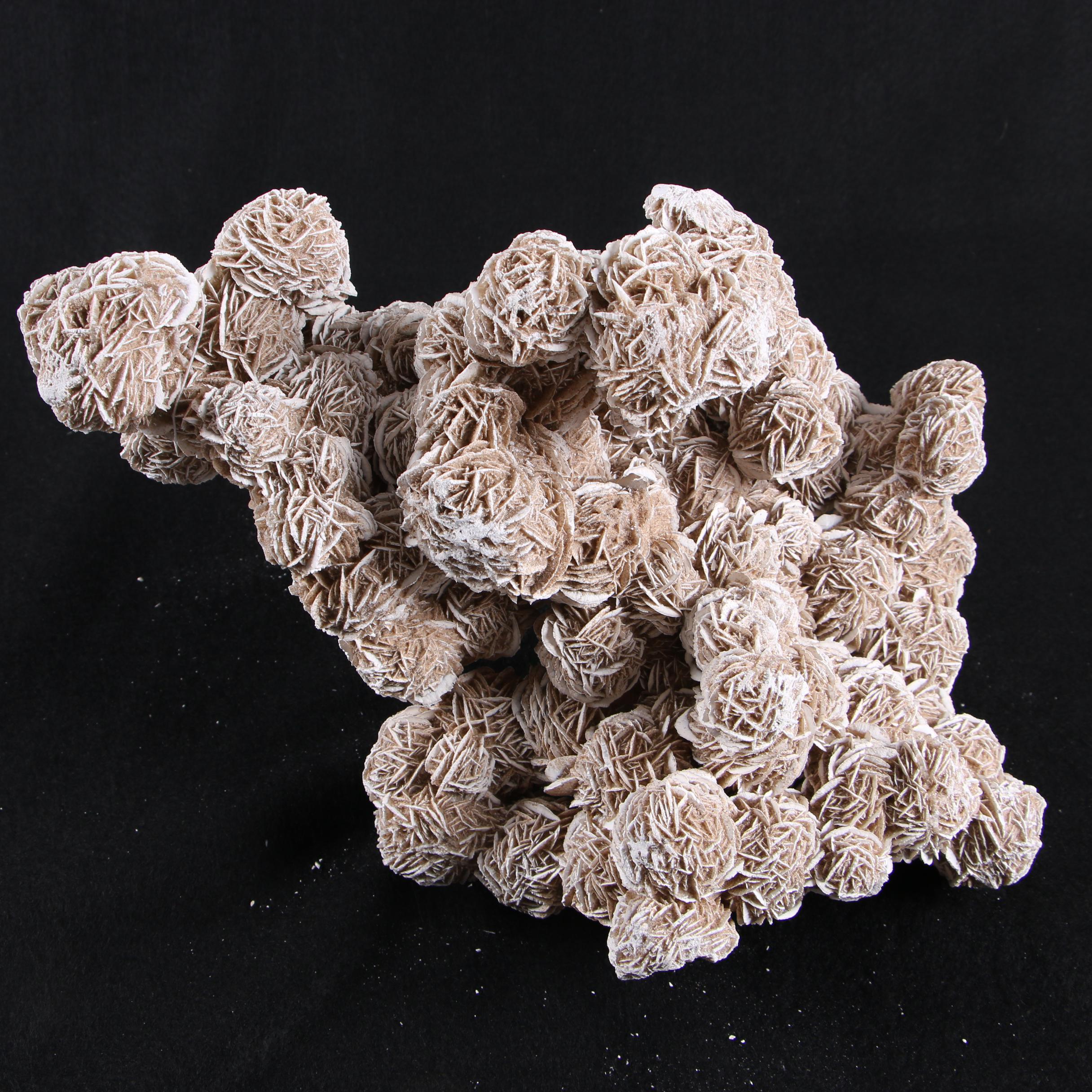 Gypsum Desert Rose Specimen