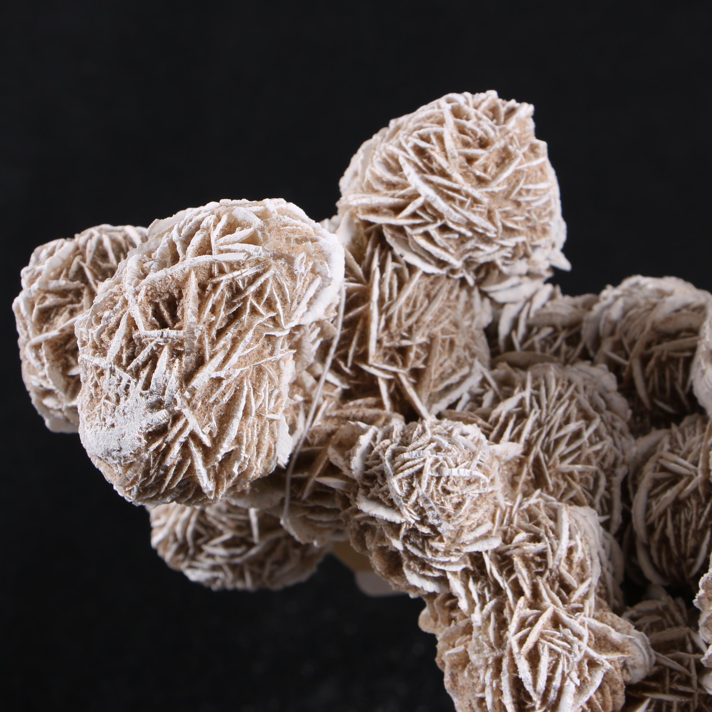 Gypsum Desert Rose Specimen