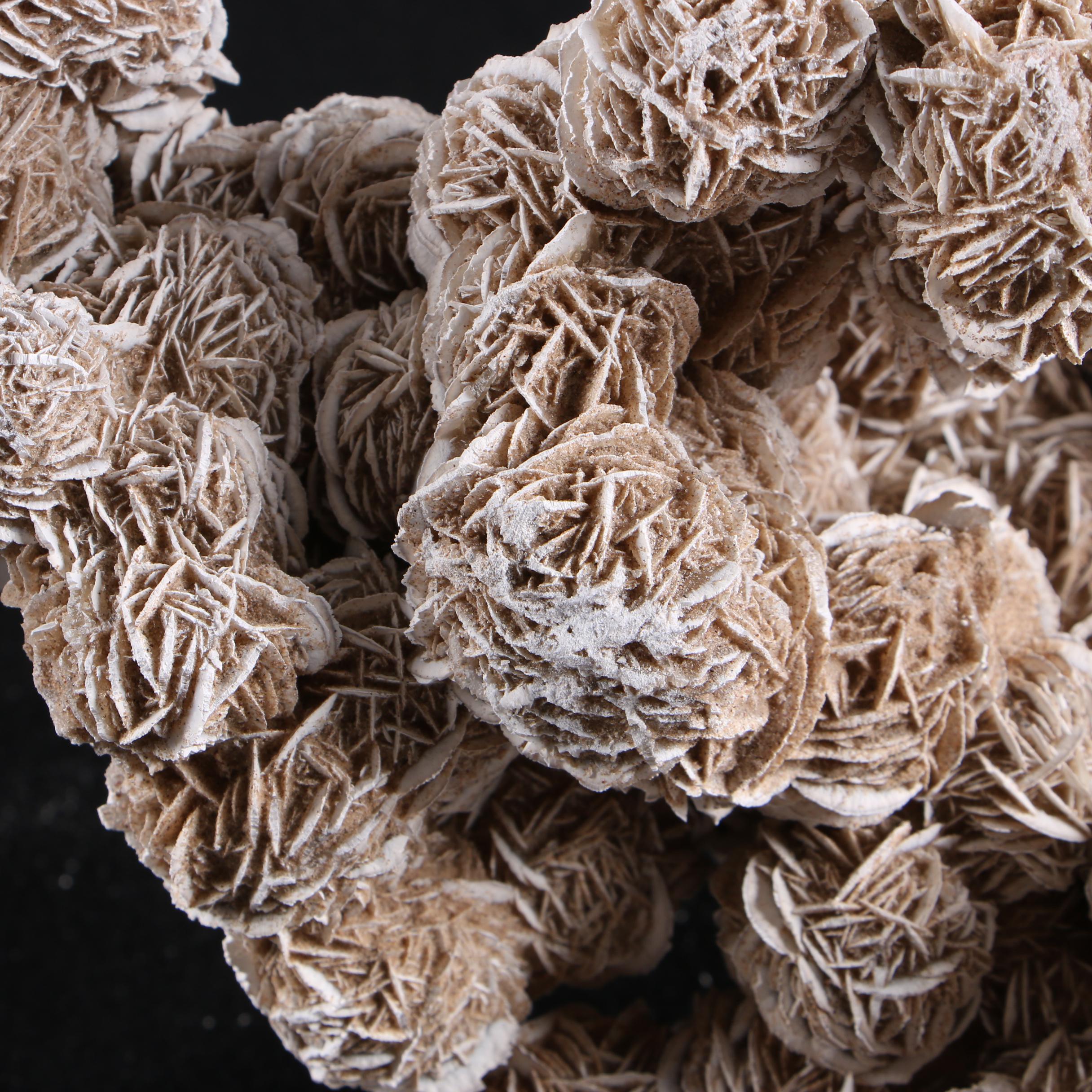 Gypsum Desert Rose Specimen