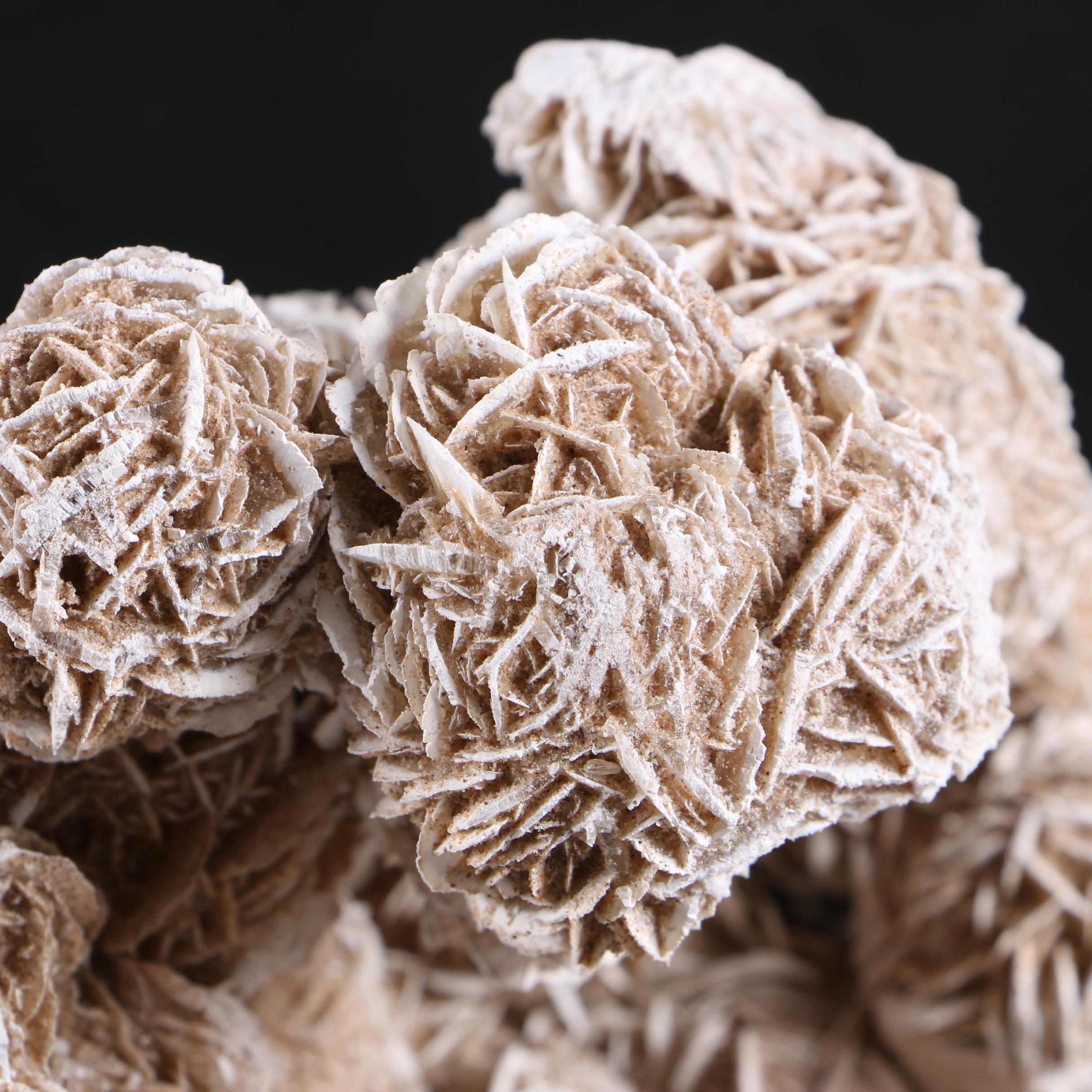 Gypsum Desert Rose Specimen