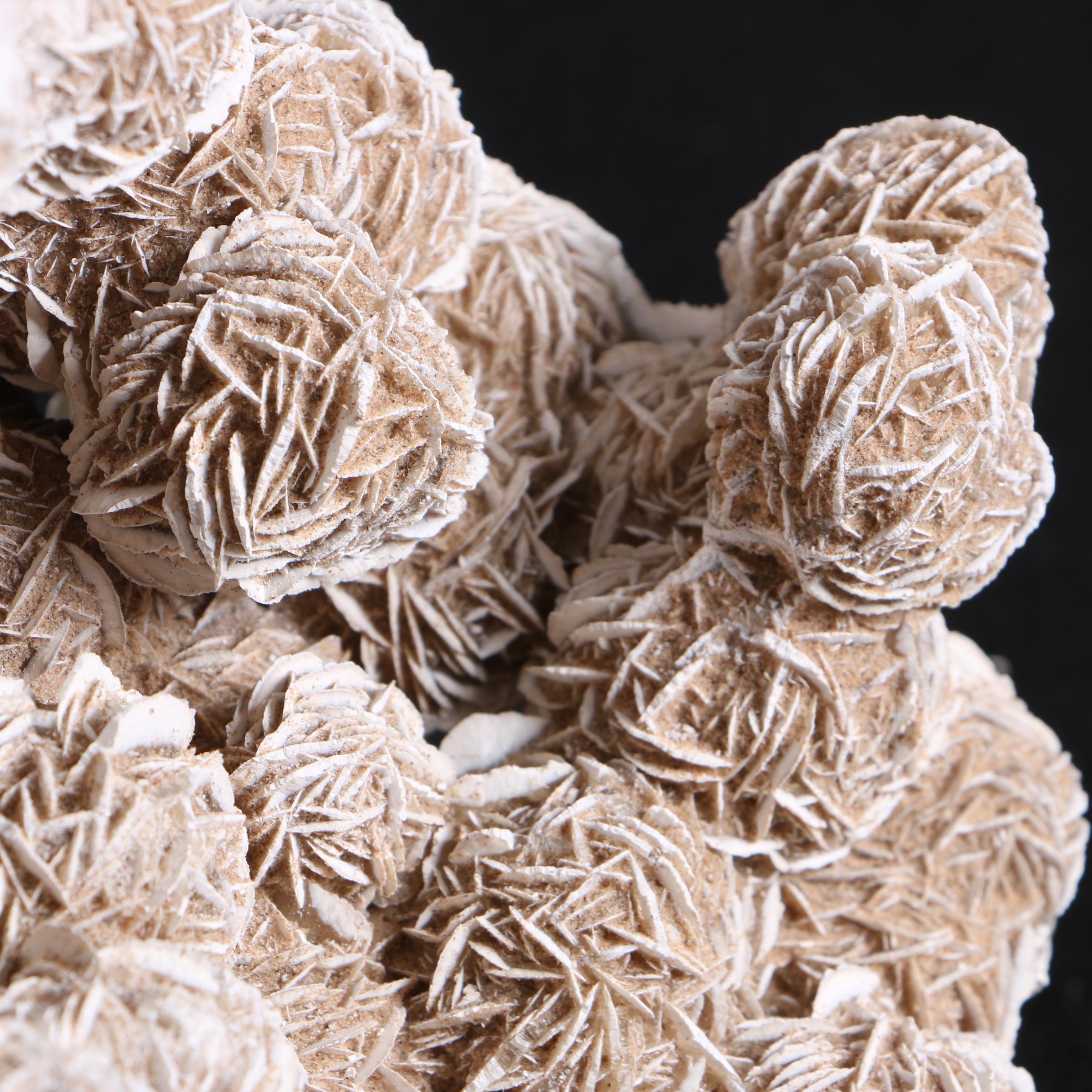 Gypsum Desert Rose Specimen