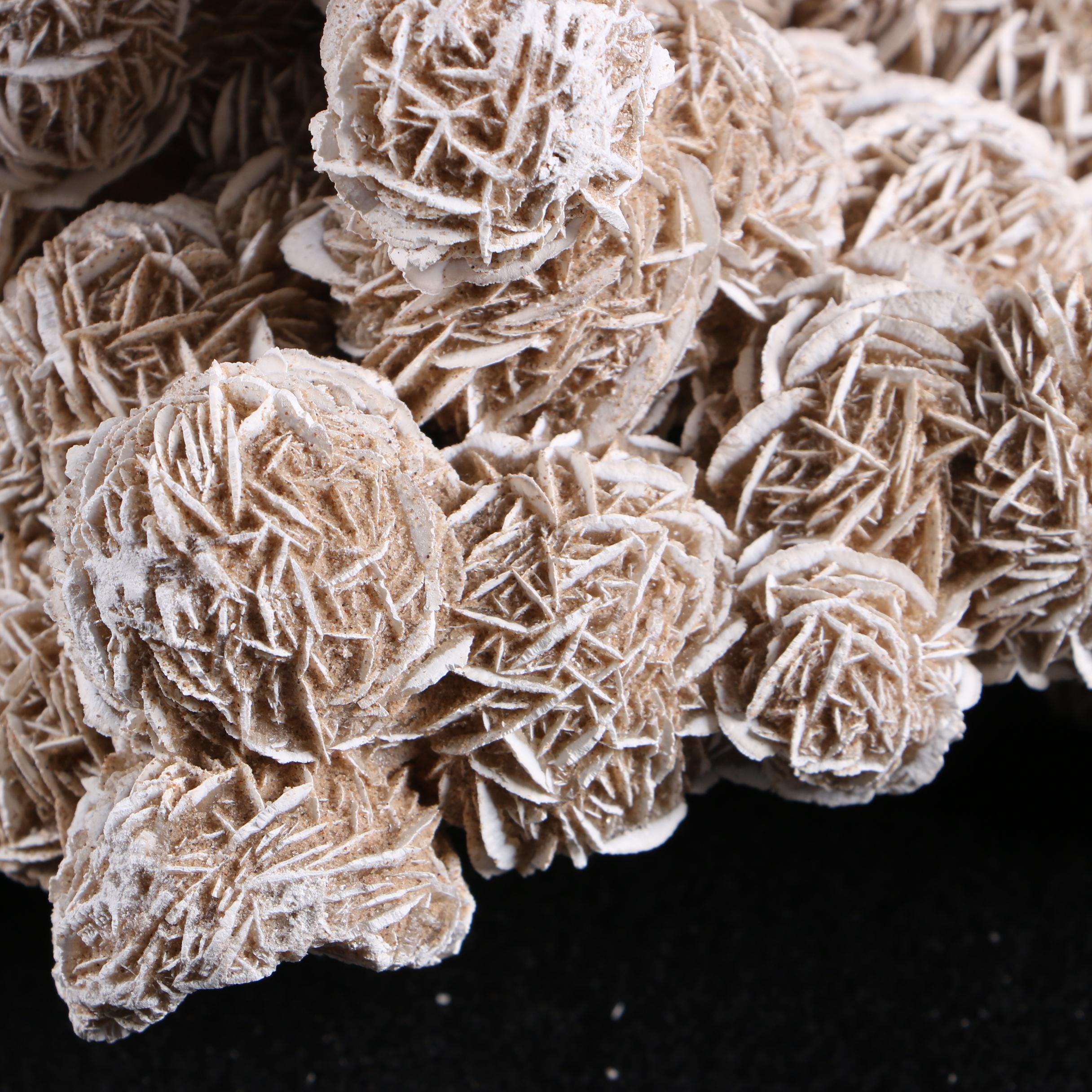 Gypsum Desert Rose Specimen