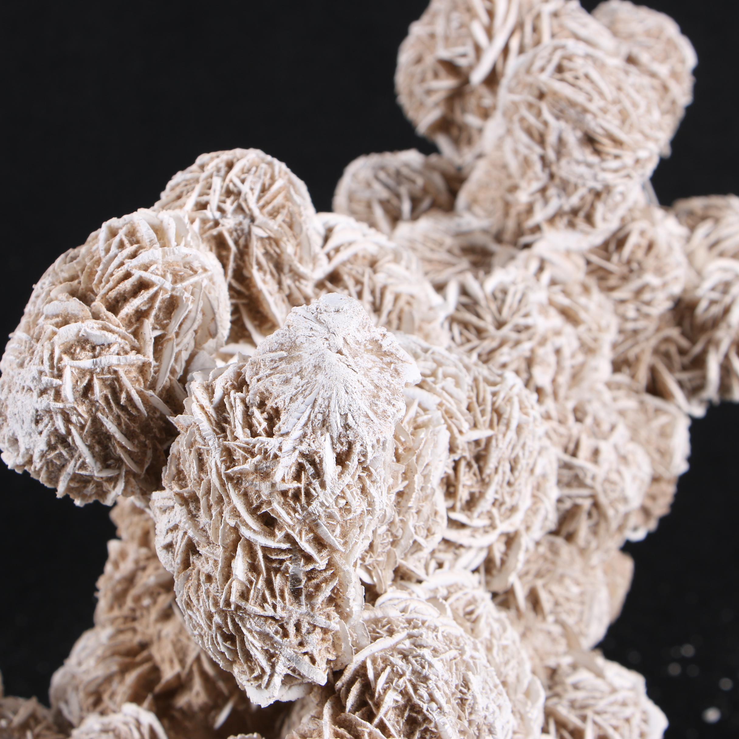 Gypsum Desert Rose Specimen