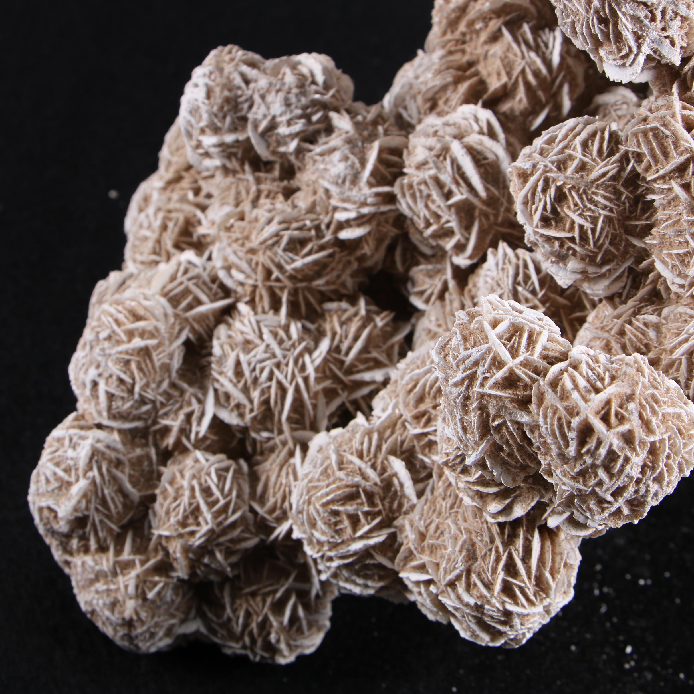 Gypsum Desert Rose Specimen
