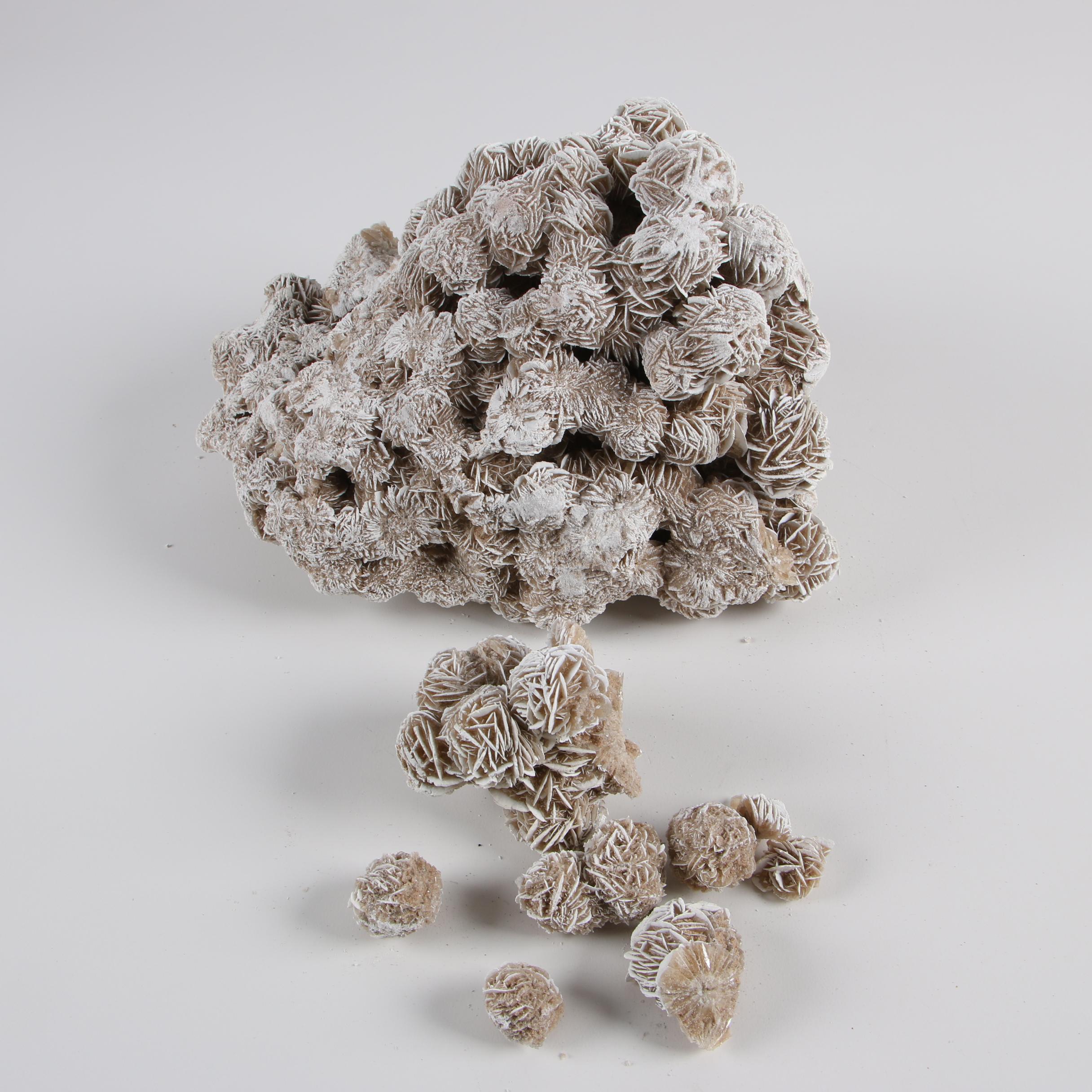 Gypsum Desert Rose Specimens