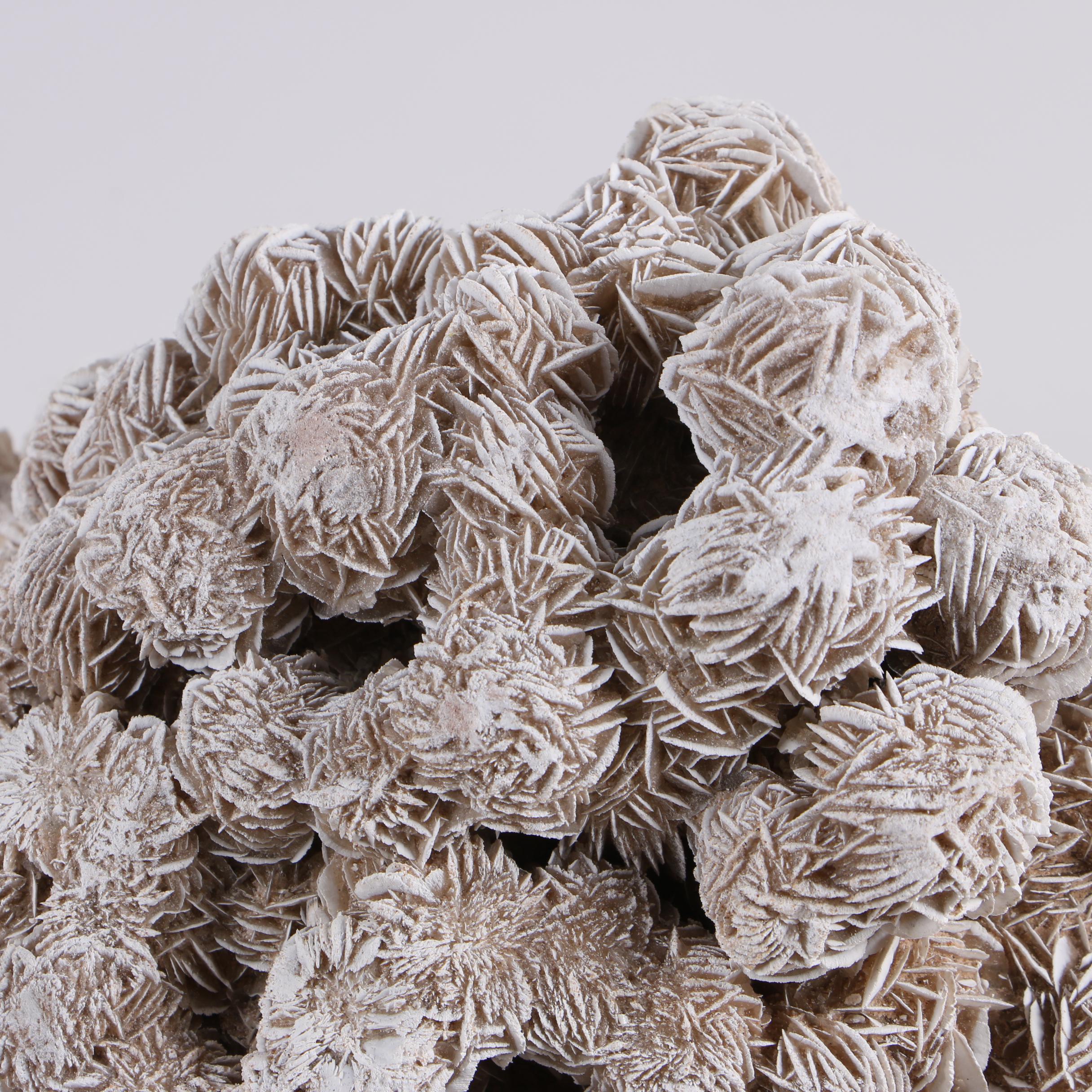 Gypsum Desert Rose Specimens