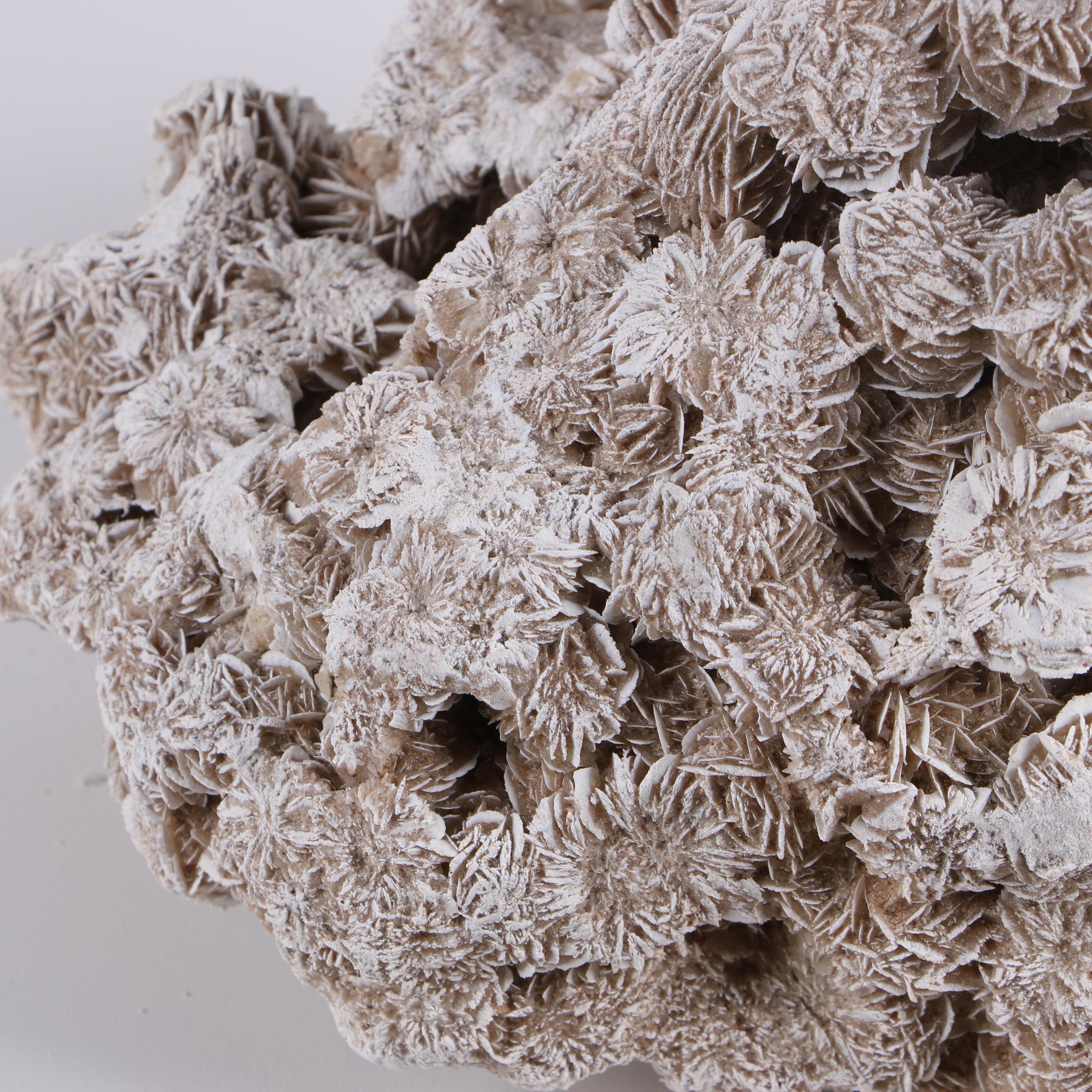 Gypsum Desert Rose Specimens