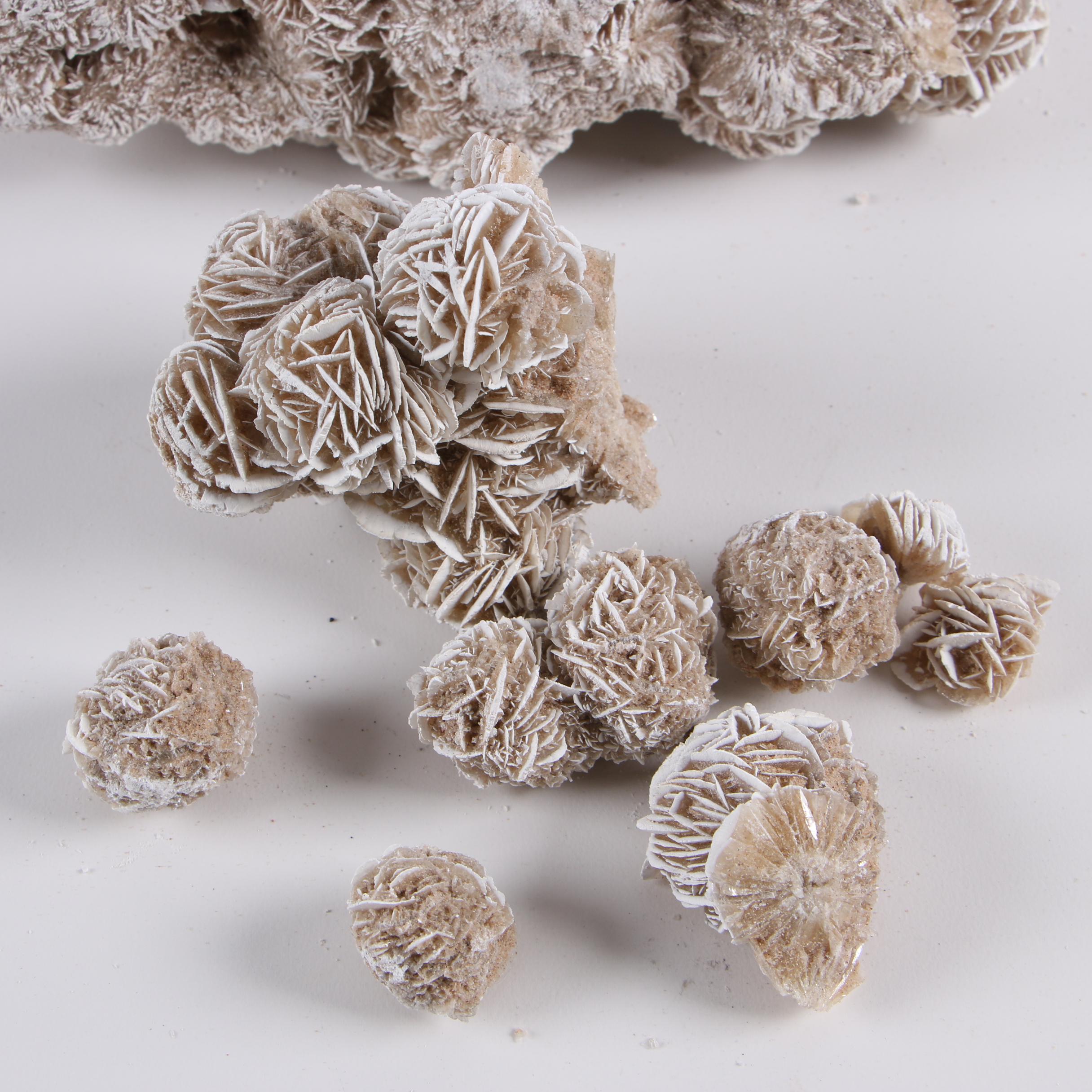 Gypsum Desert Rose Specimens