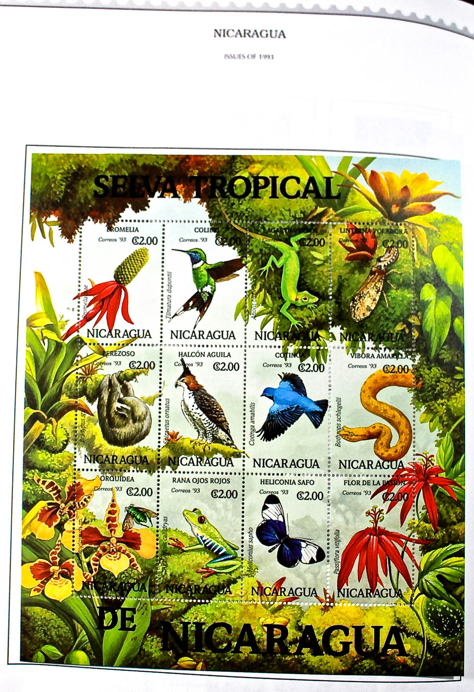 "The Supreme Global Stamp Album" Including Stamps