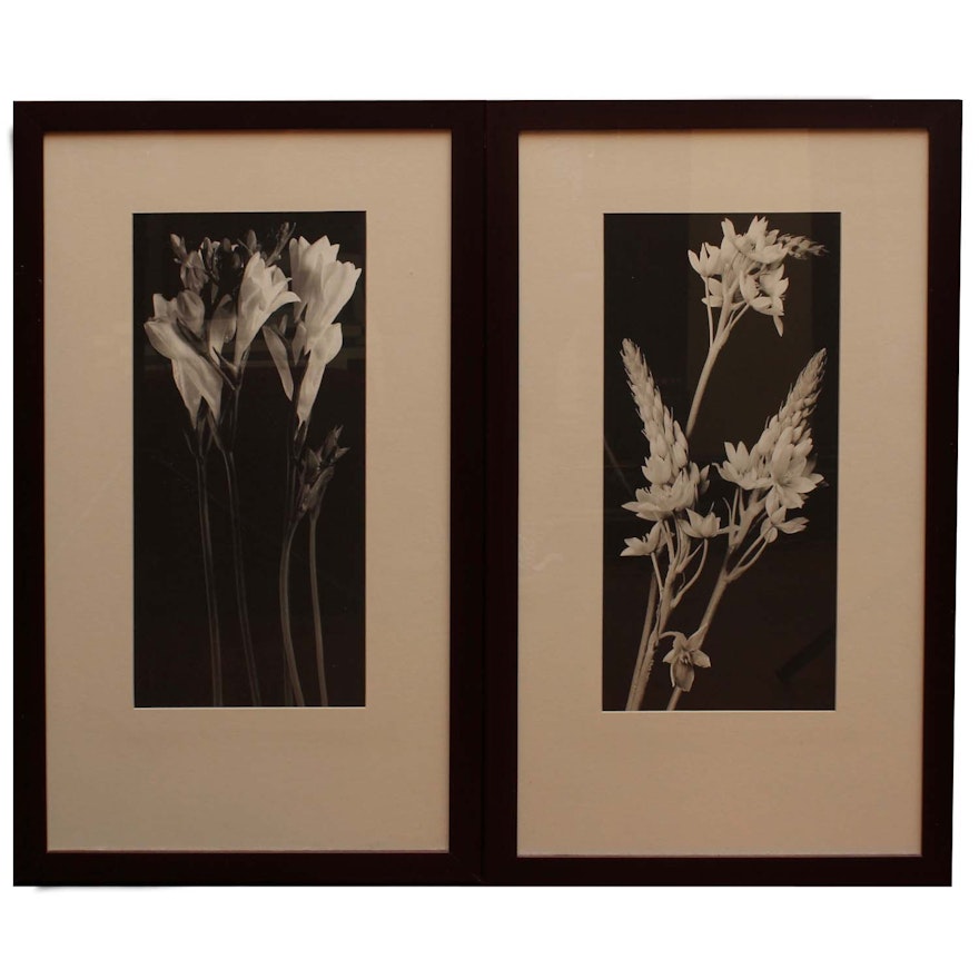 Two New Century Black and White Flower Photographs