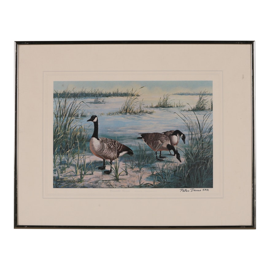 Peter Darro Offset Lithograph "Canada Geese"