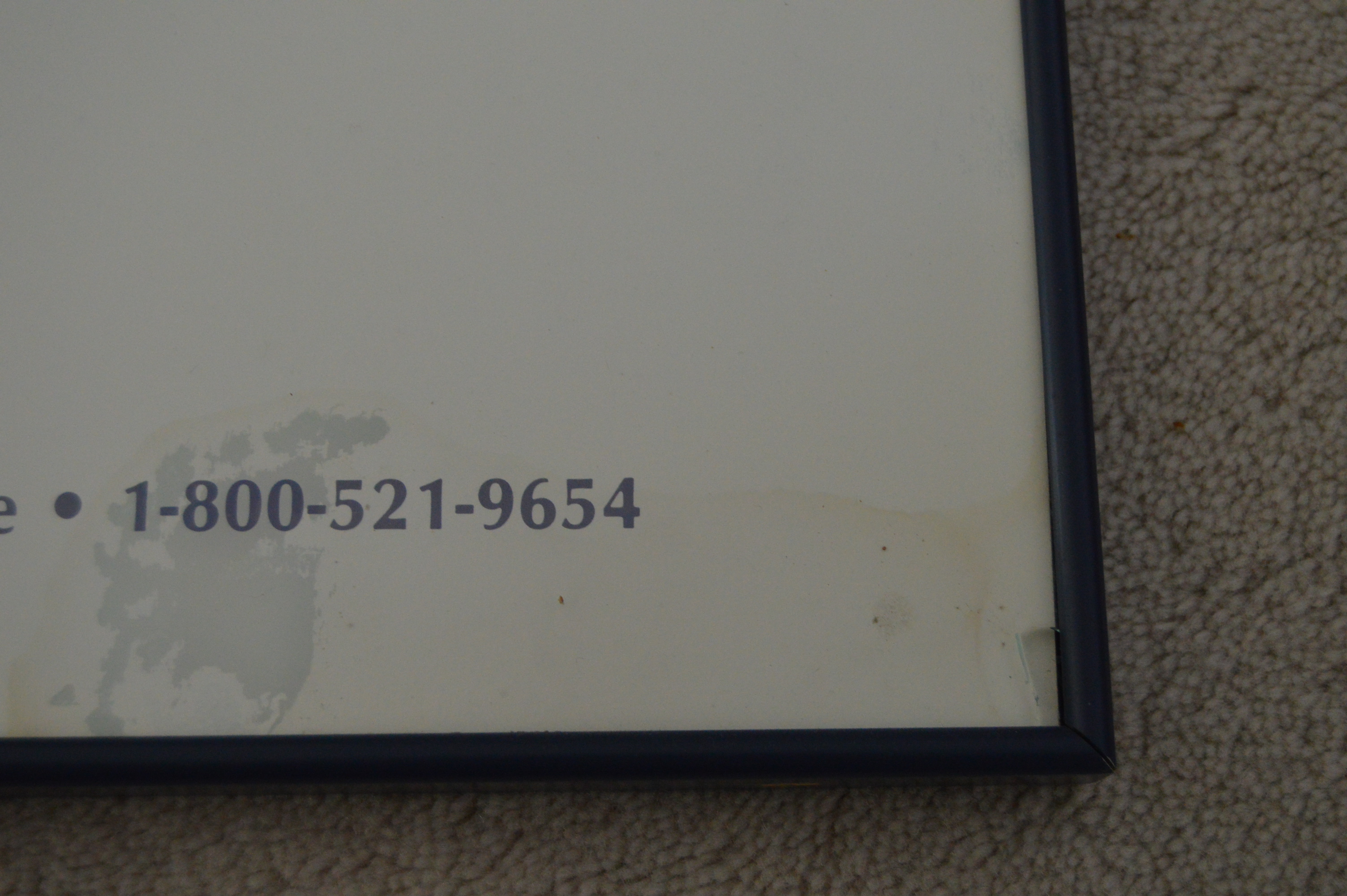 Framed Posters after Erte and Laurel Burch