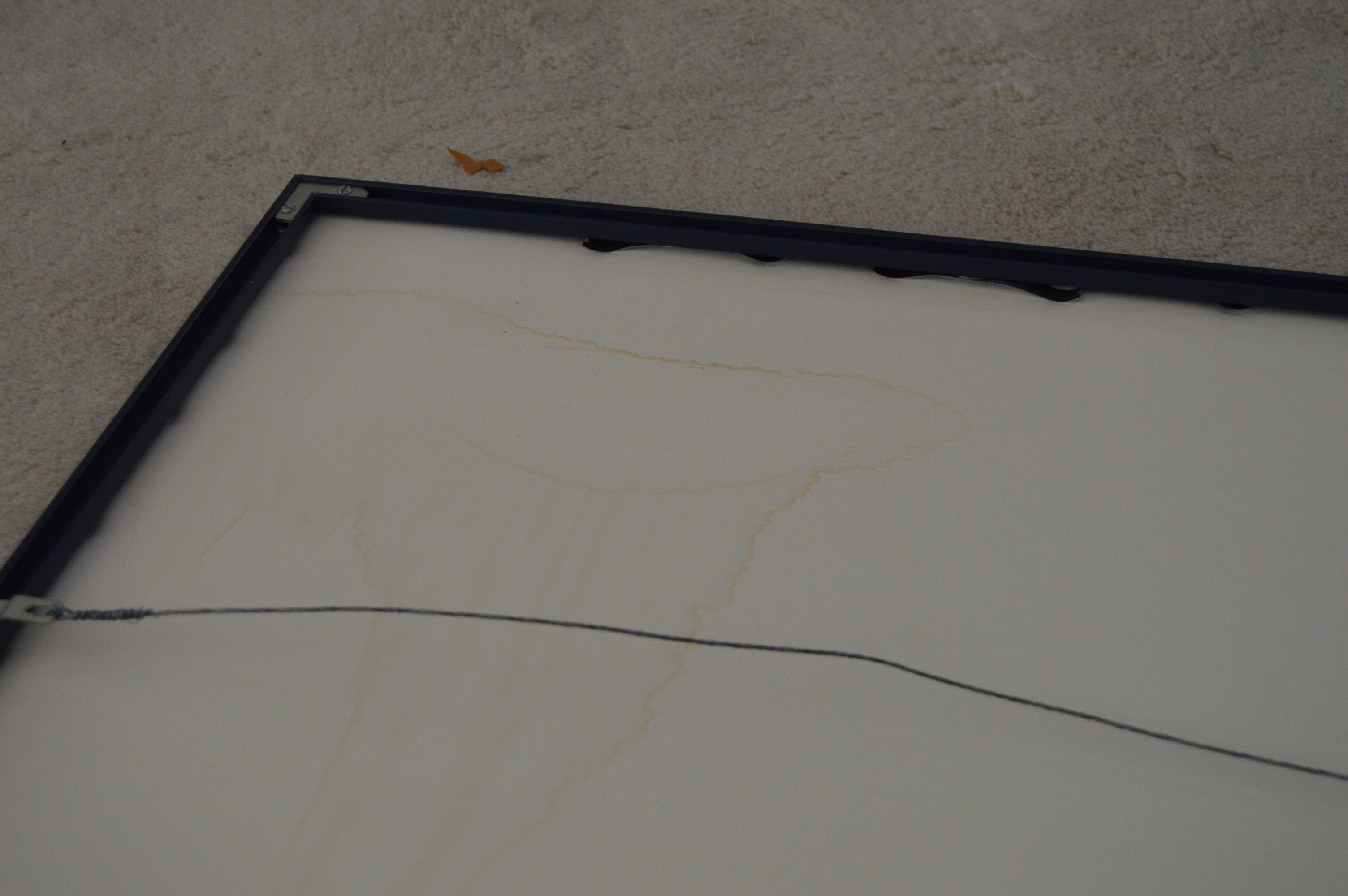 Framed Posters after Erte and Laurel Burch