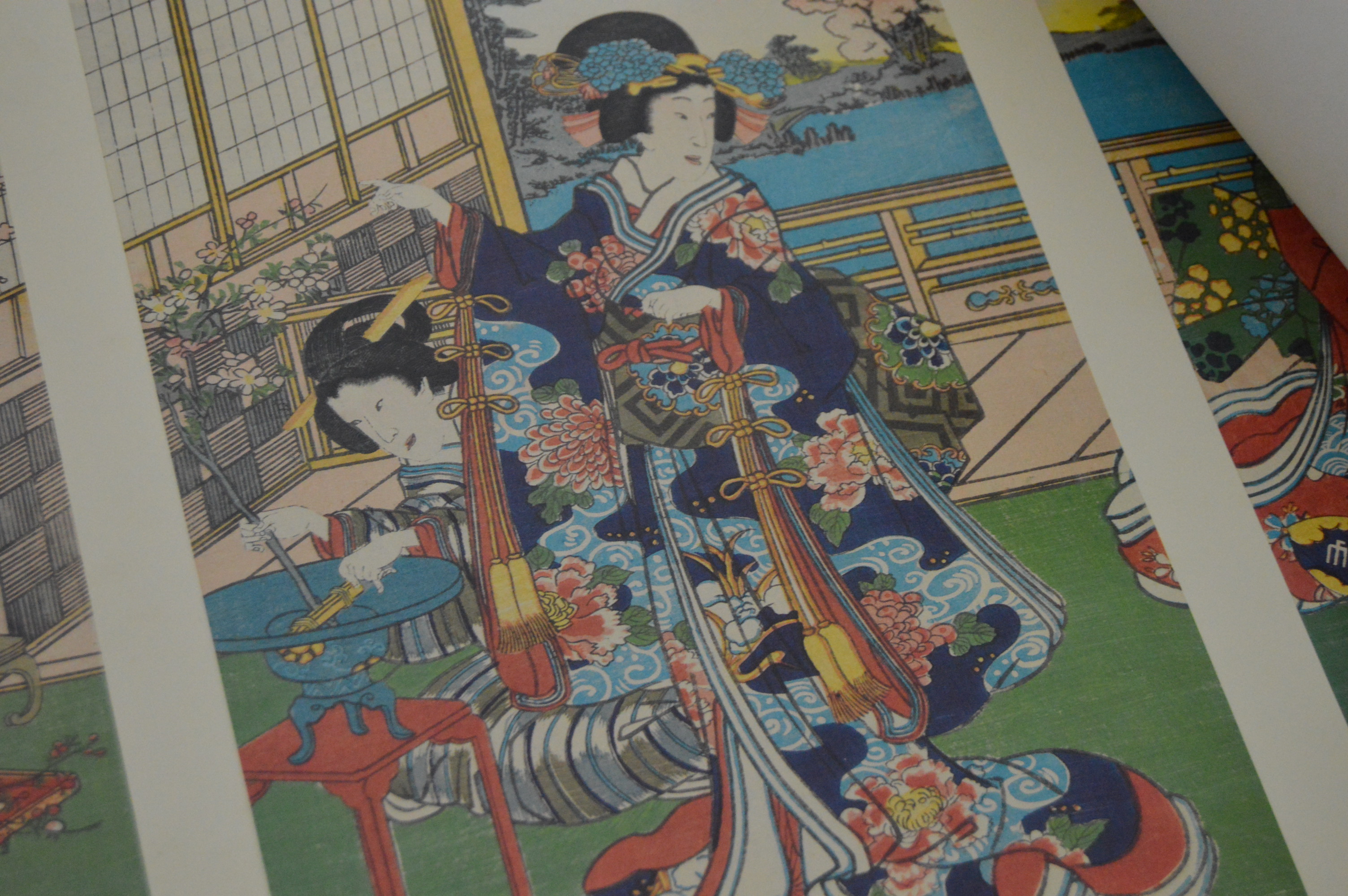 Framed Posters after Erte and Laurel Burch