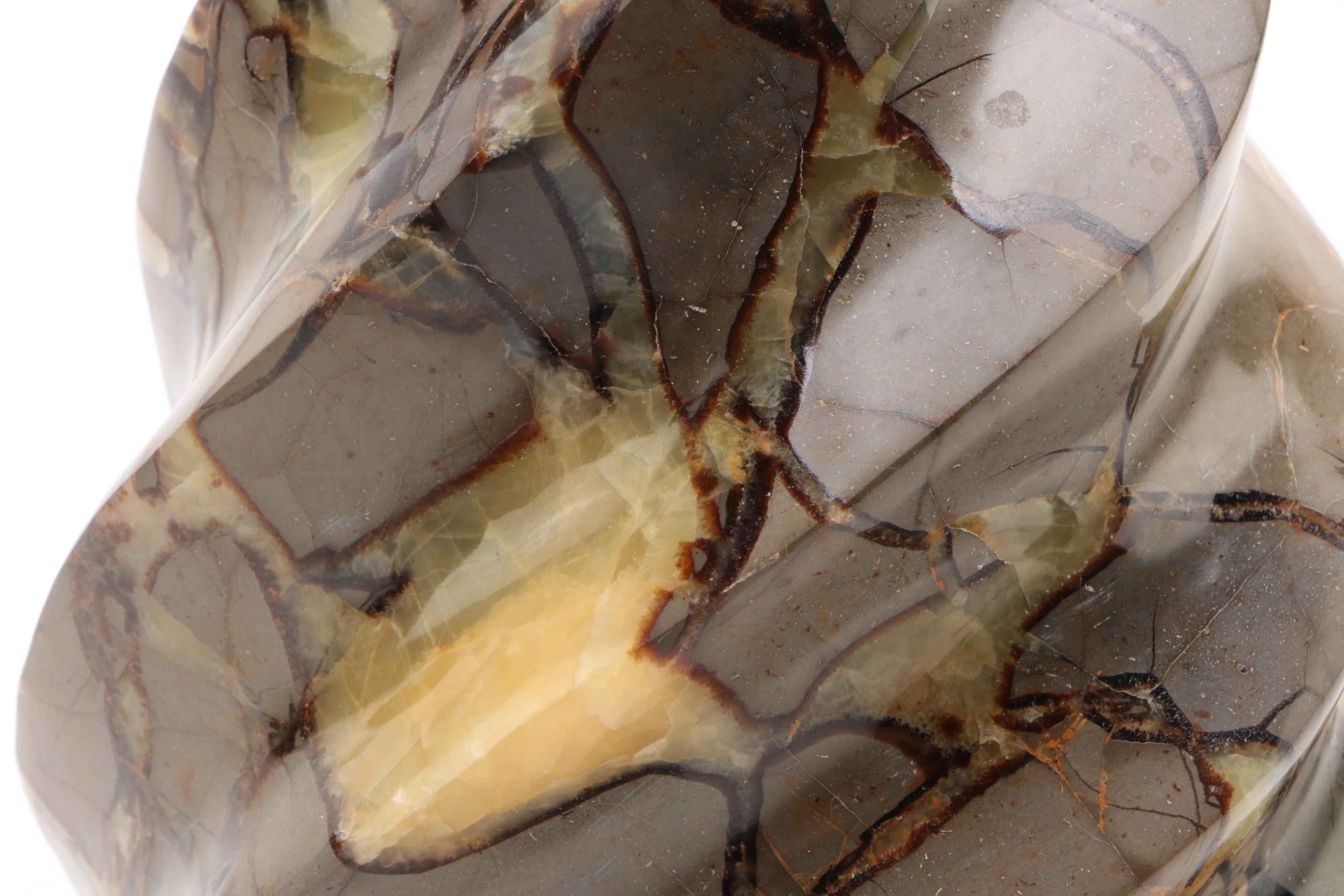 Septarian Nodule Spiral Specimen