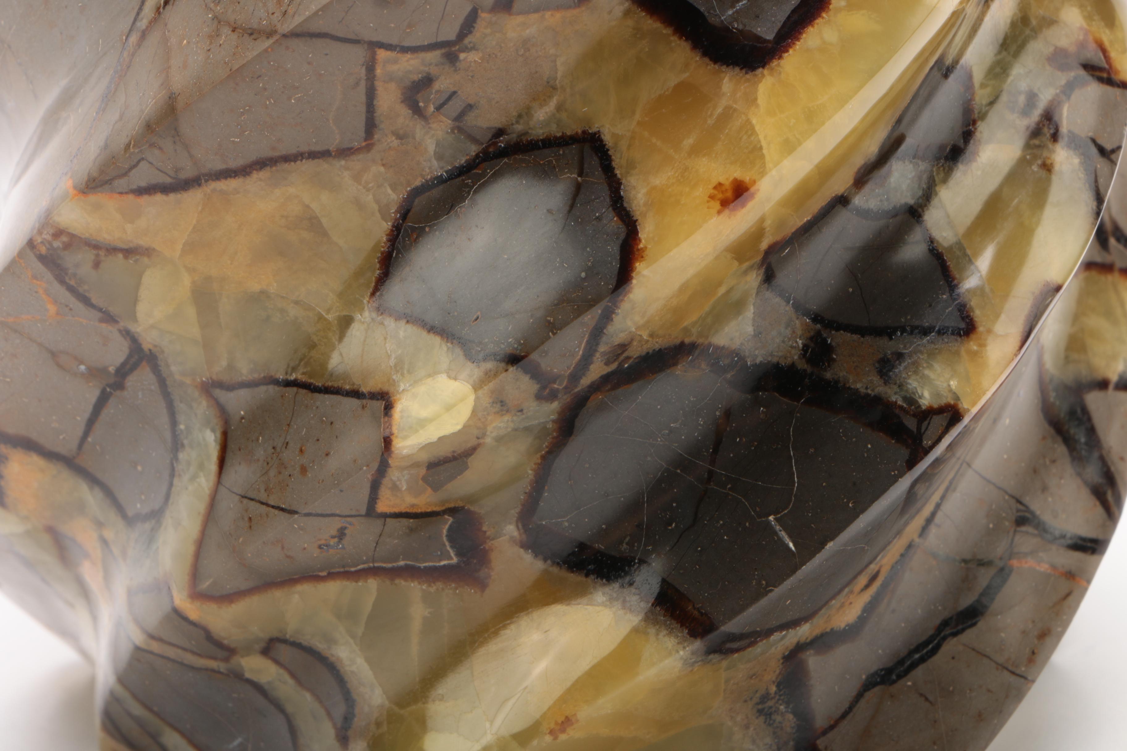 Septarian Nodule Spiral Specimen