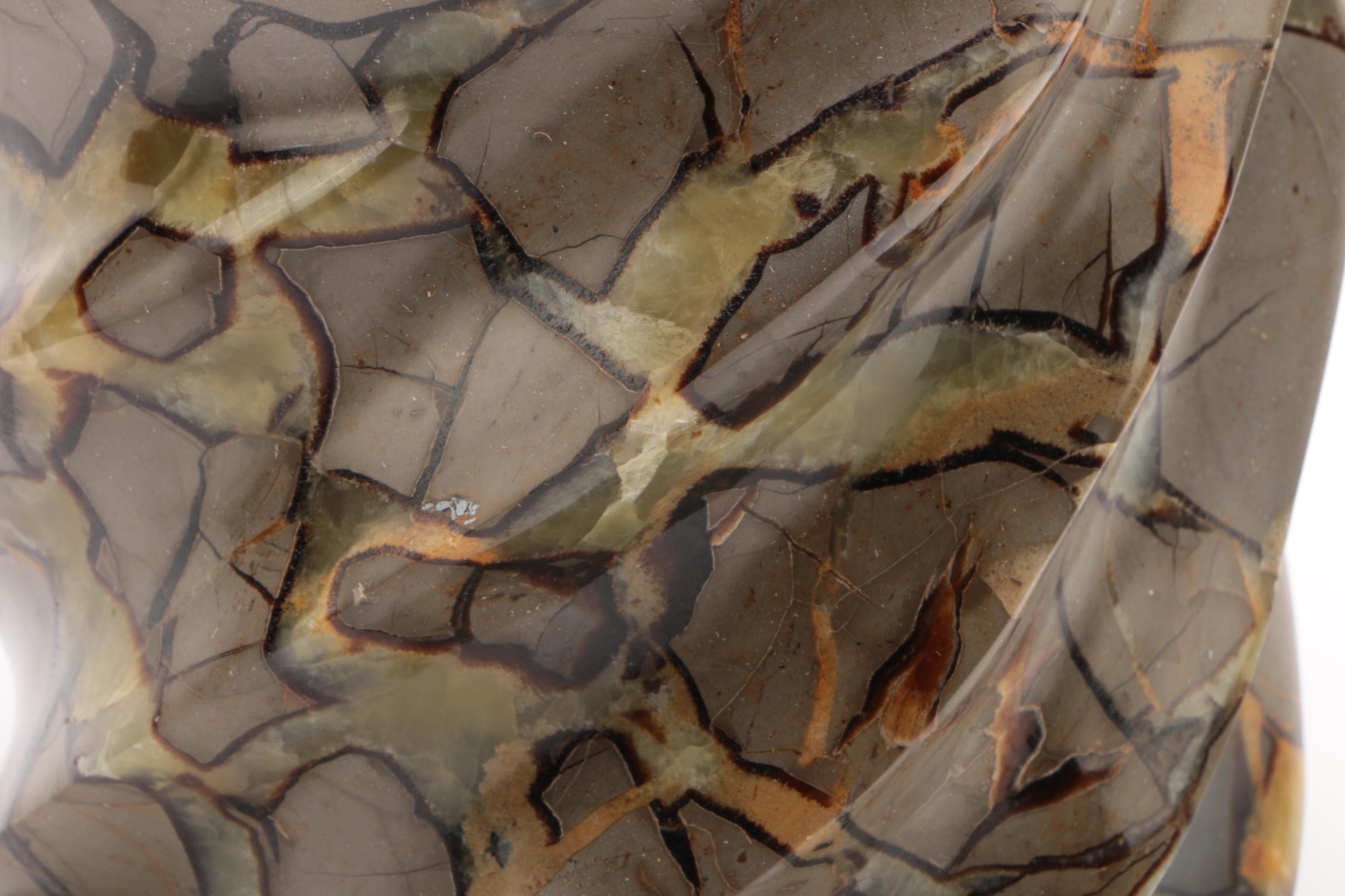 Septarian Nodule Spiral Specimen