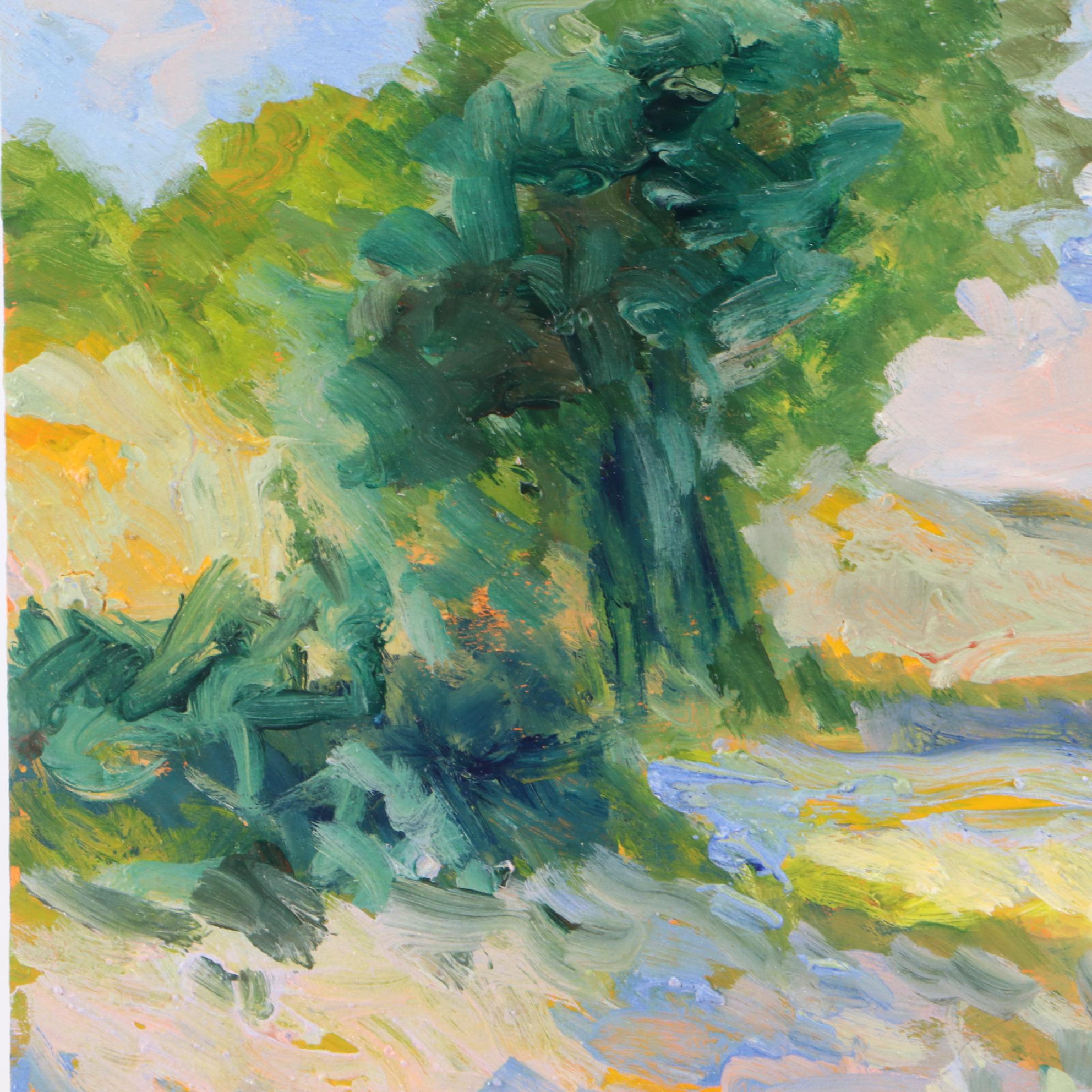 Sulmaz H. Radvand Landscape Acrylic Painting