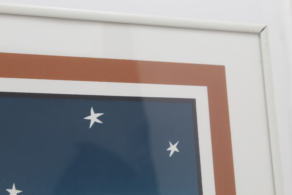 Teresa Farr Limited Edition Serigraph "Armadillo with Headphones"