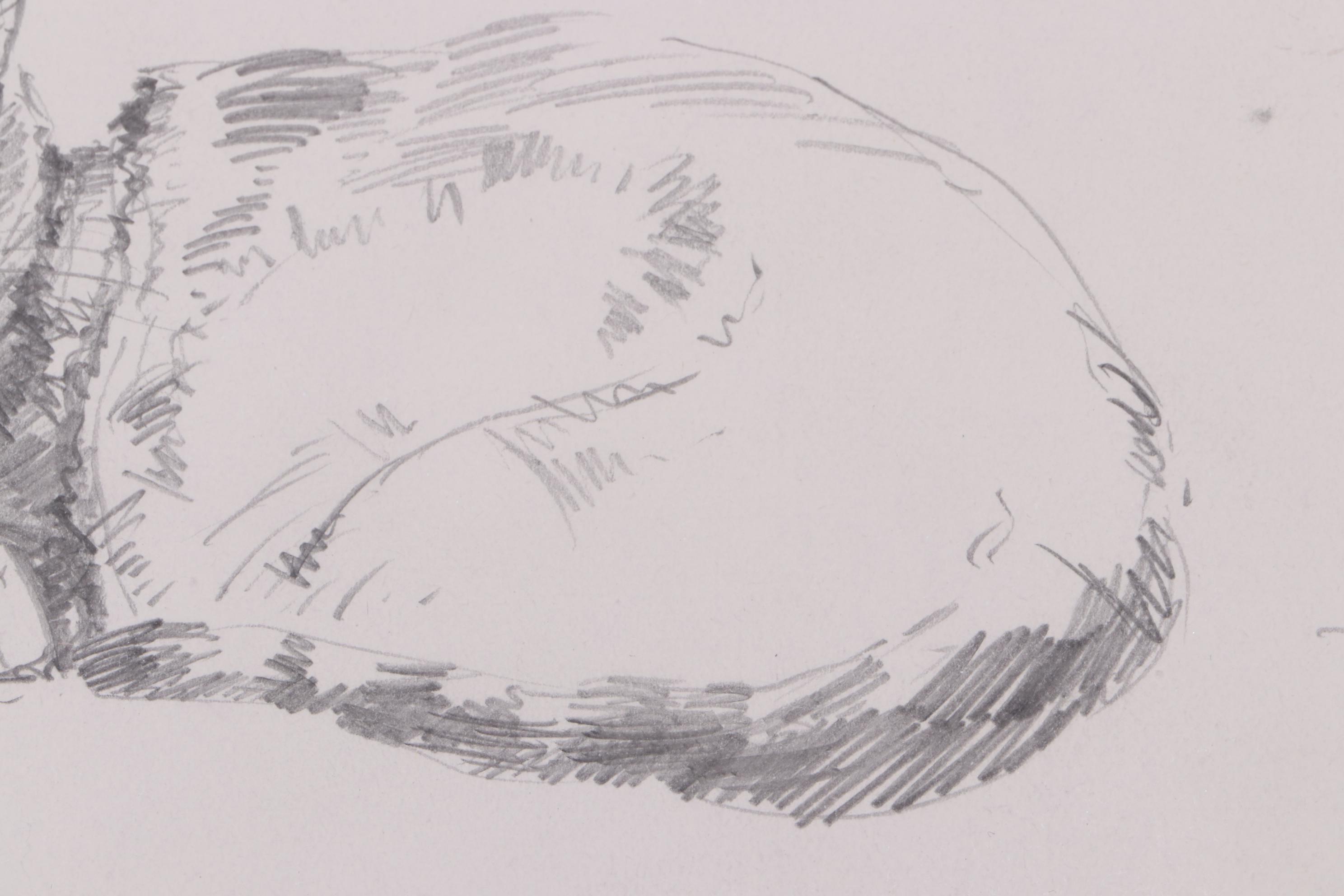 A. Liesseus Vintage Graphite Drawing of Cat