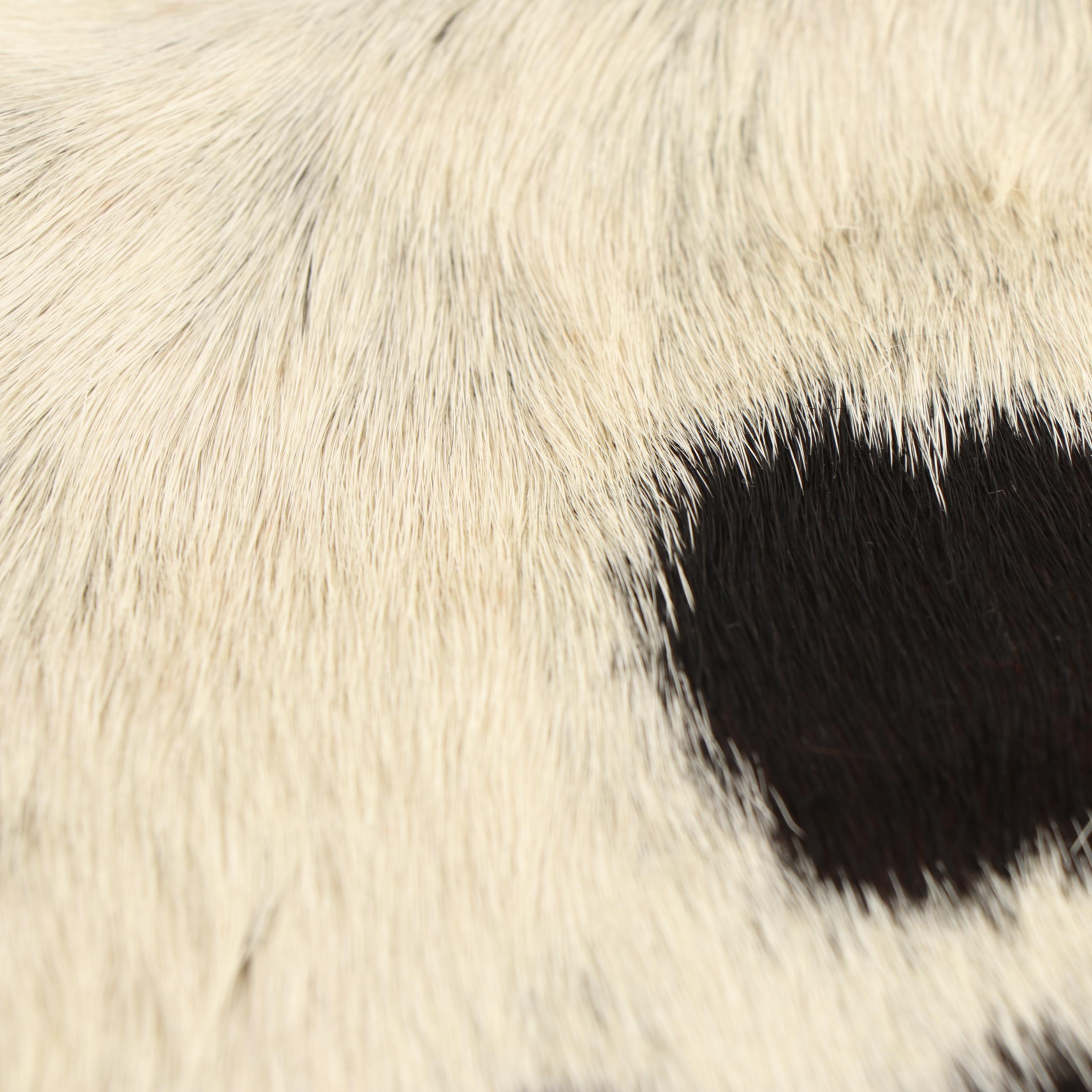 Cow Hide Area Rug