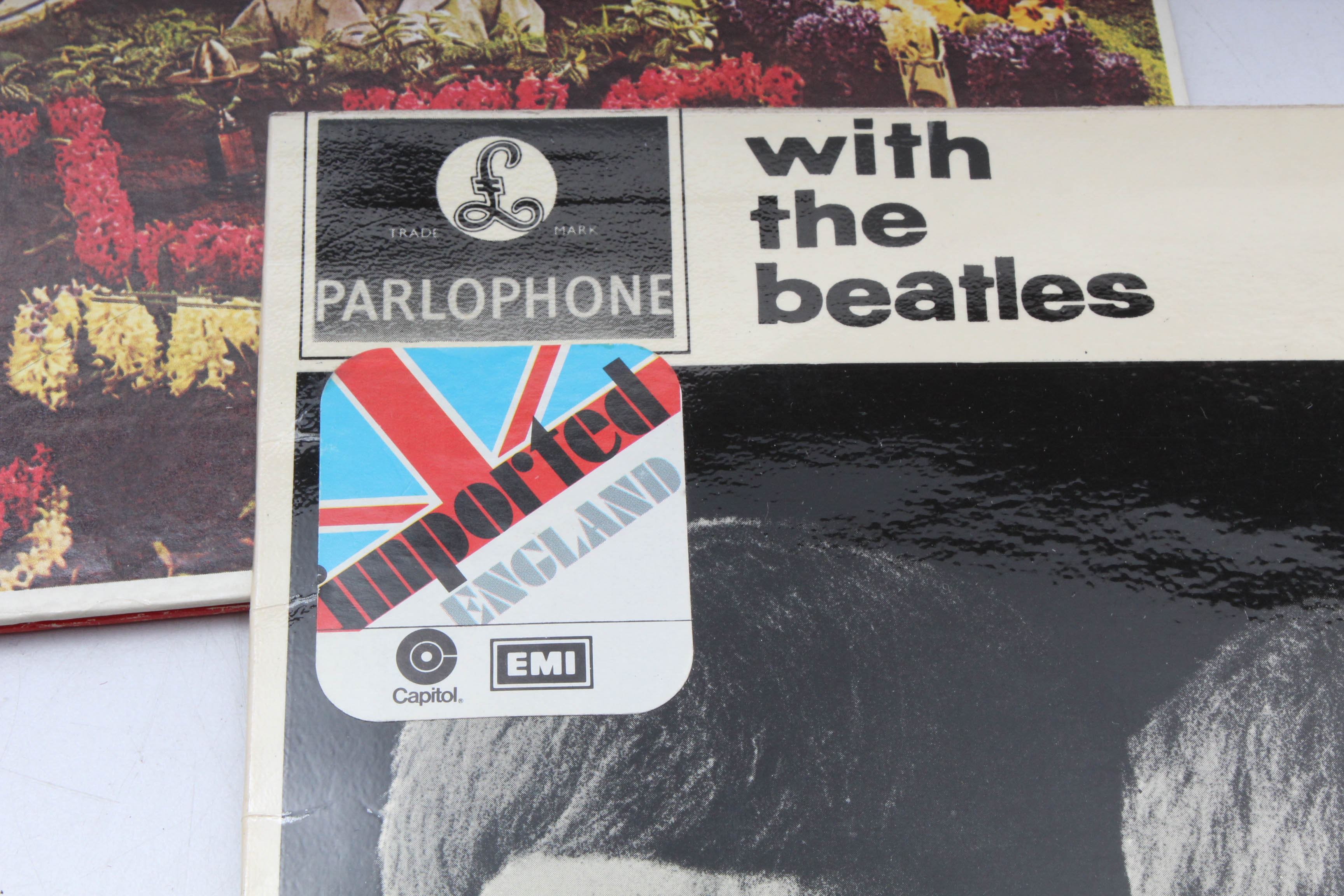 Beatles Scrapbook and Albums With "White Album" White Vinyl Edition