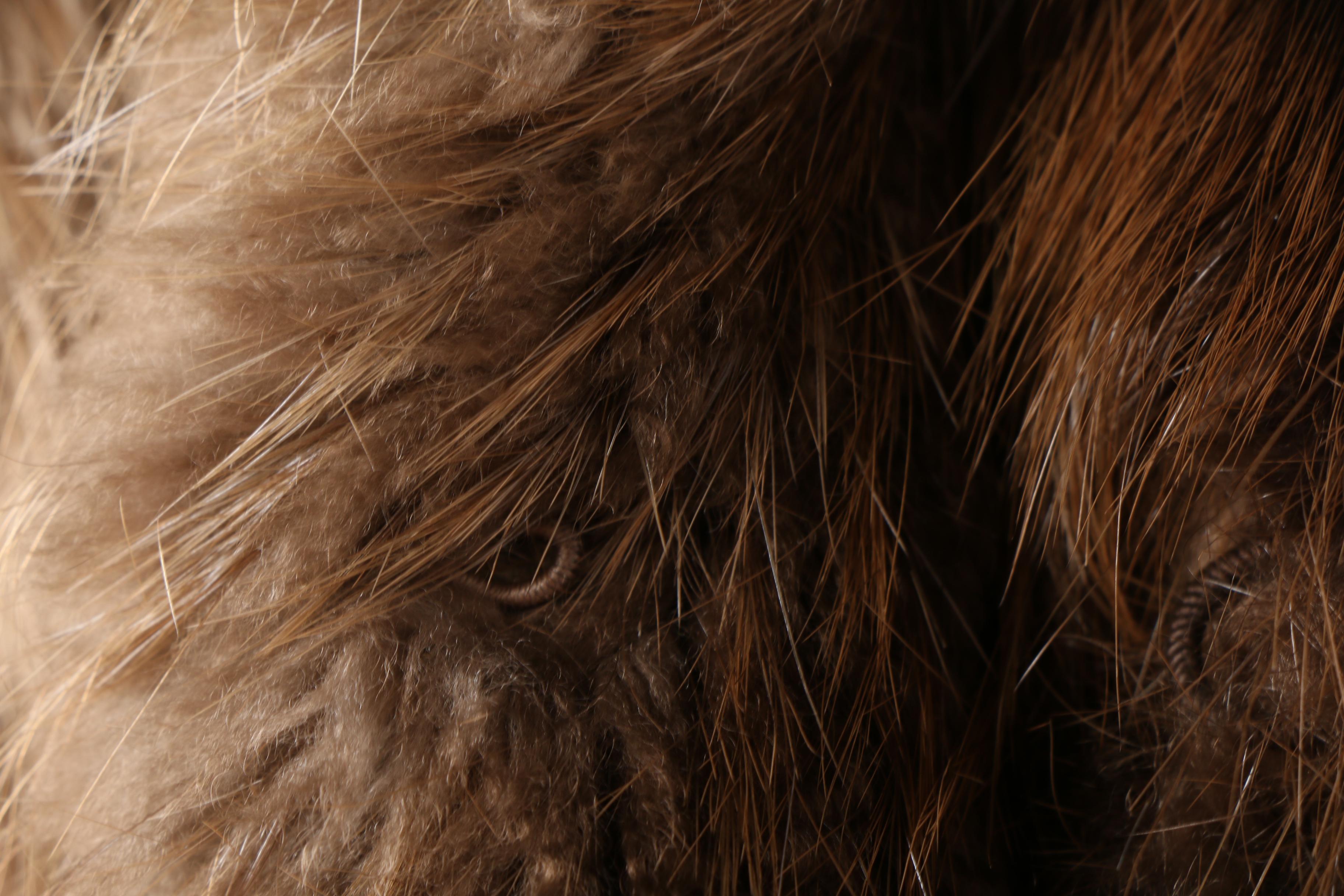 Women's Vintage The Evans Collection Brown Beaver Fur Coat