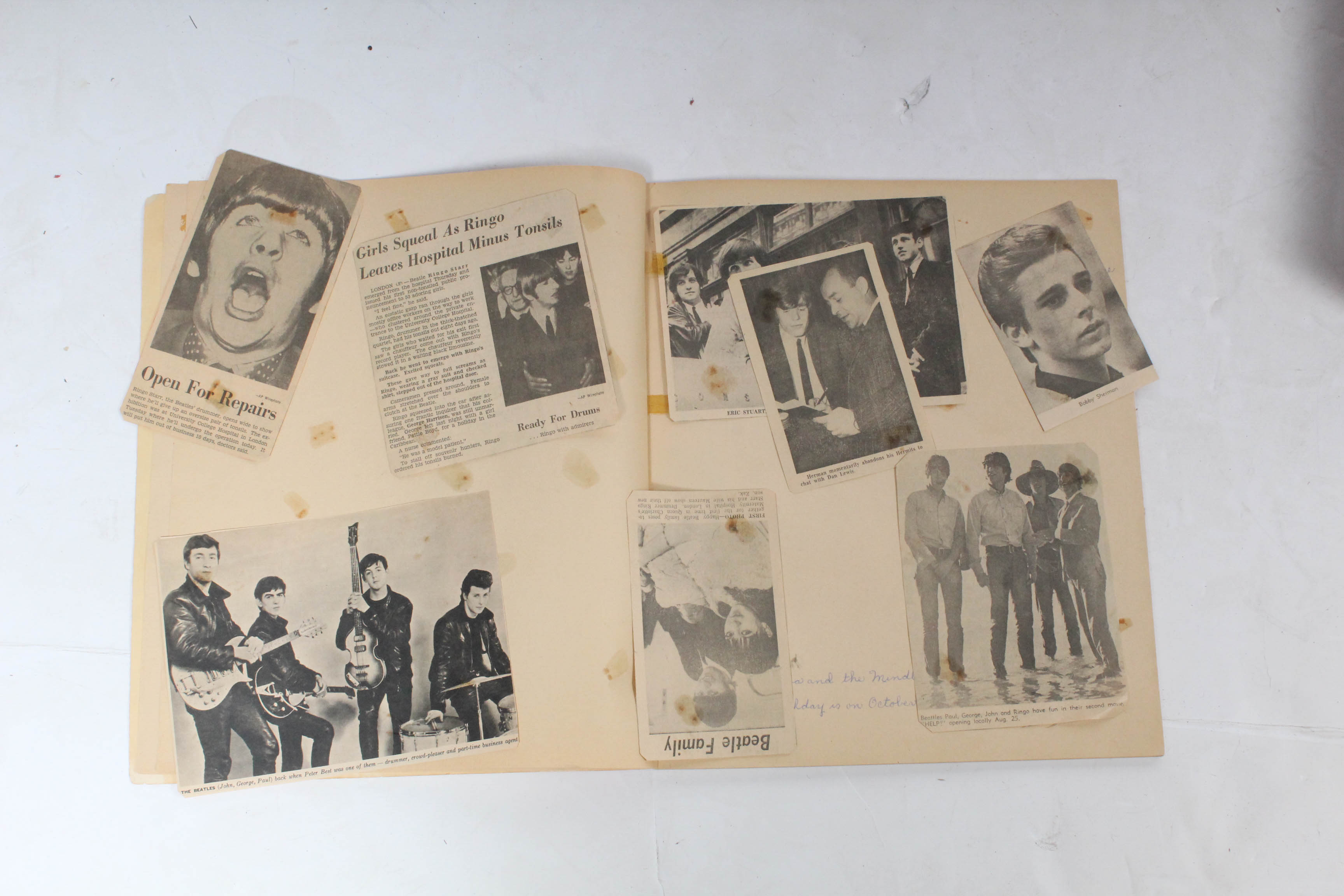 Beatles Scrapbook and Albums With "White Album" White Vinyl Edition