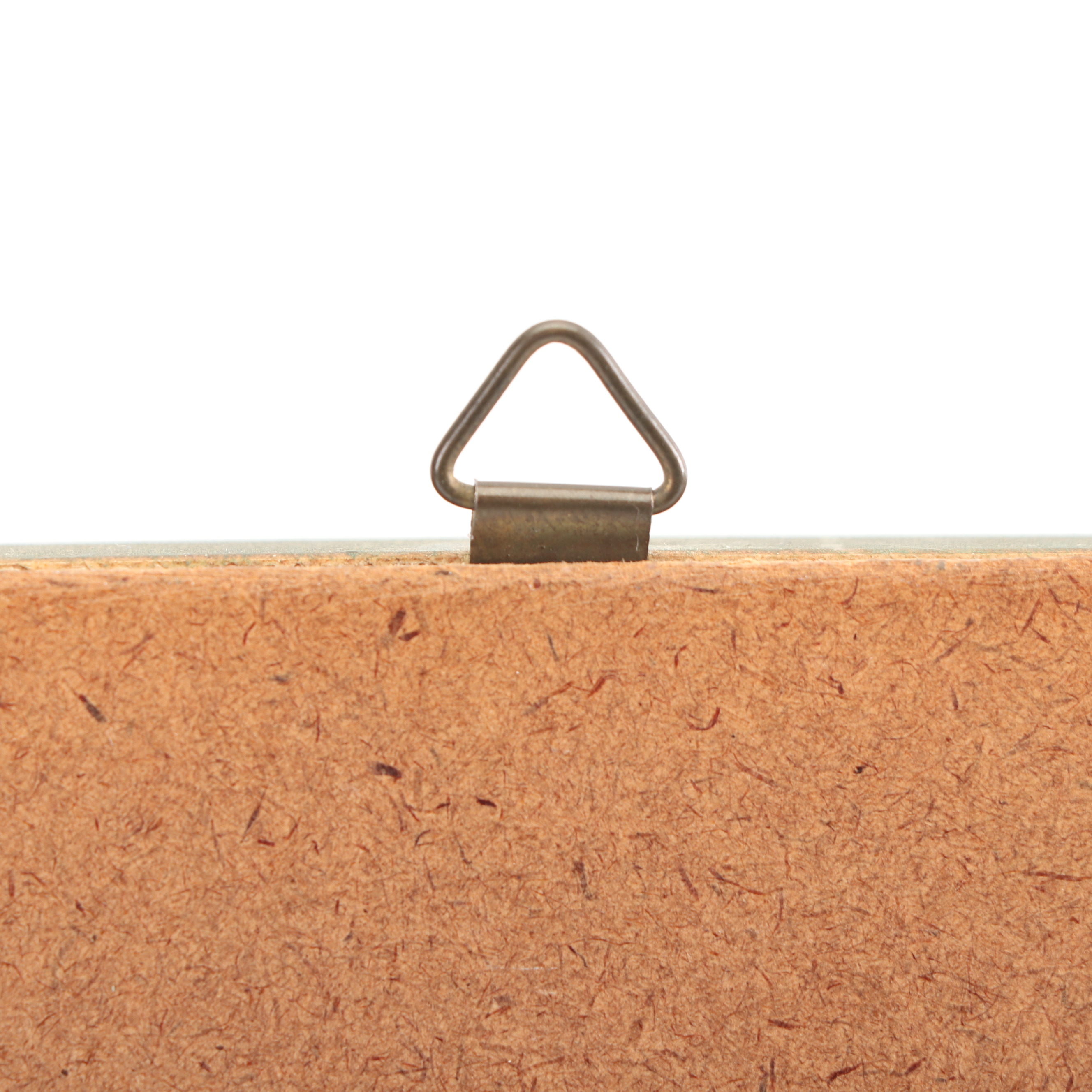 Mounted Morpho Butterfly Specimens