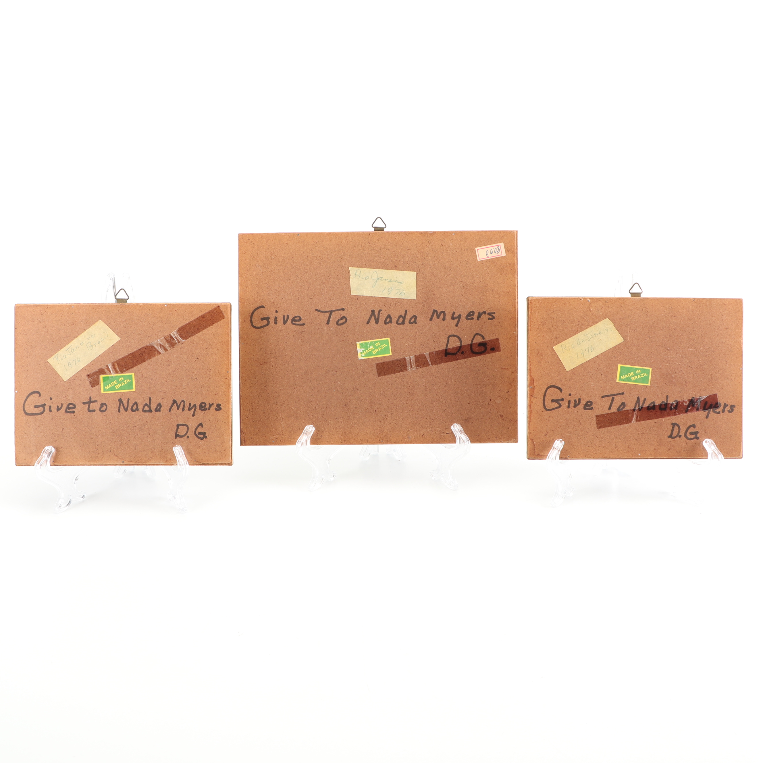 Mounted Morpho Butterfly Specimens