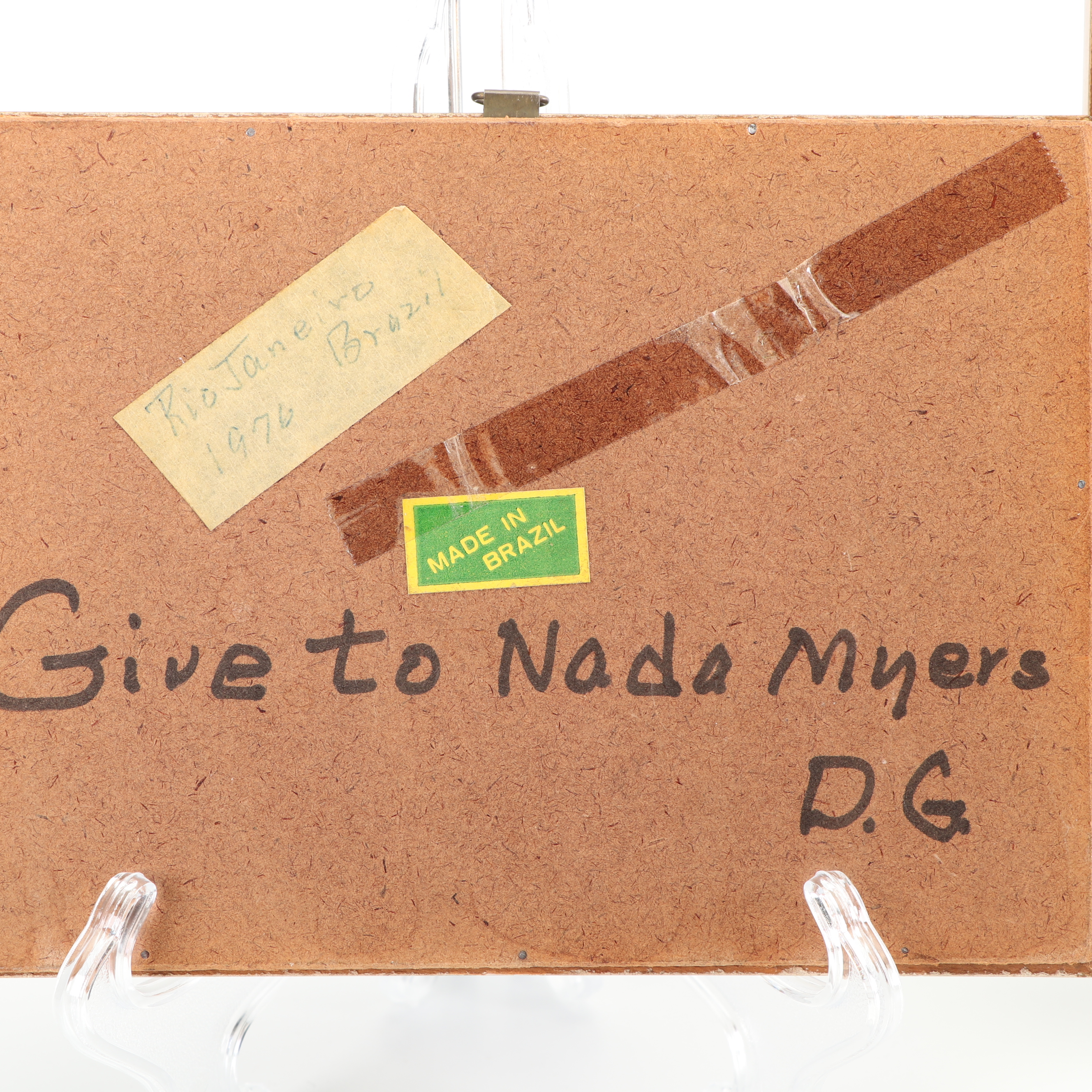 Mounted Morpho Butterfly Specimens