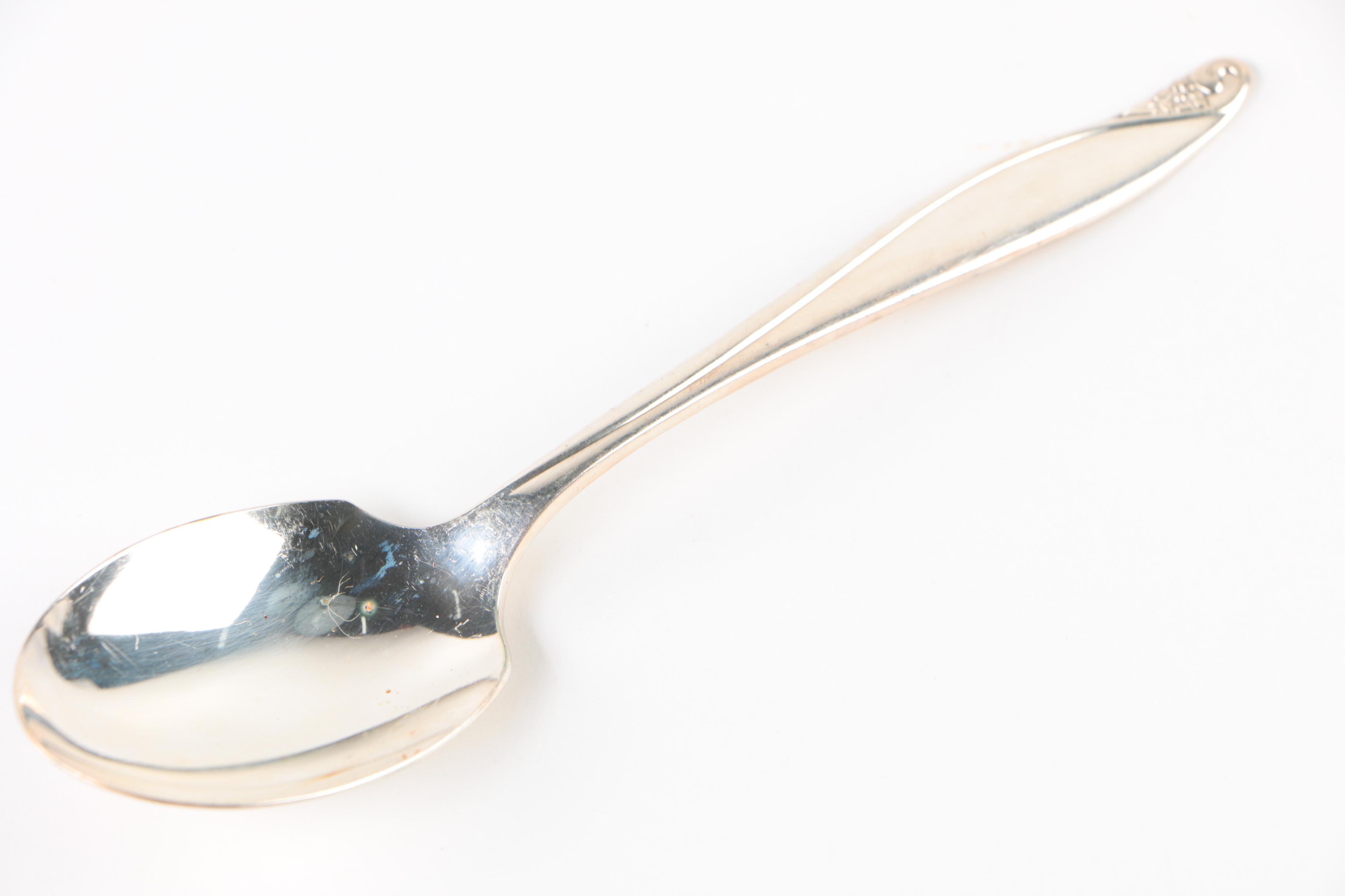 Vintage Wm. A. Rogers "Flowertime" Silver Plate Flatware Set with Chest