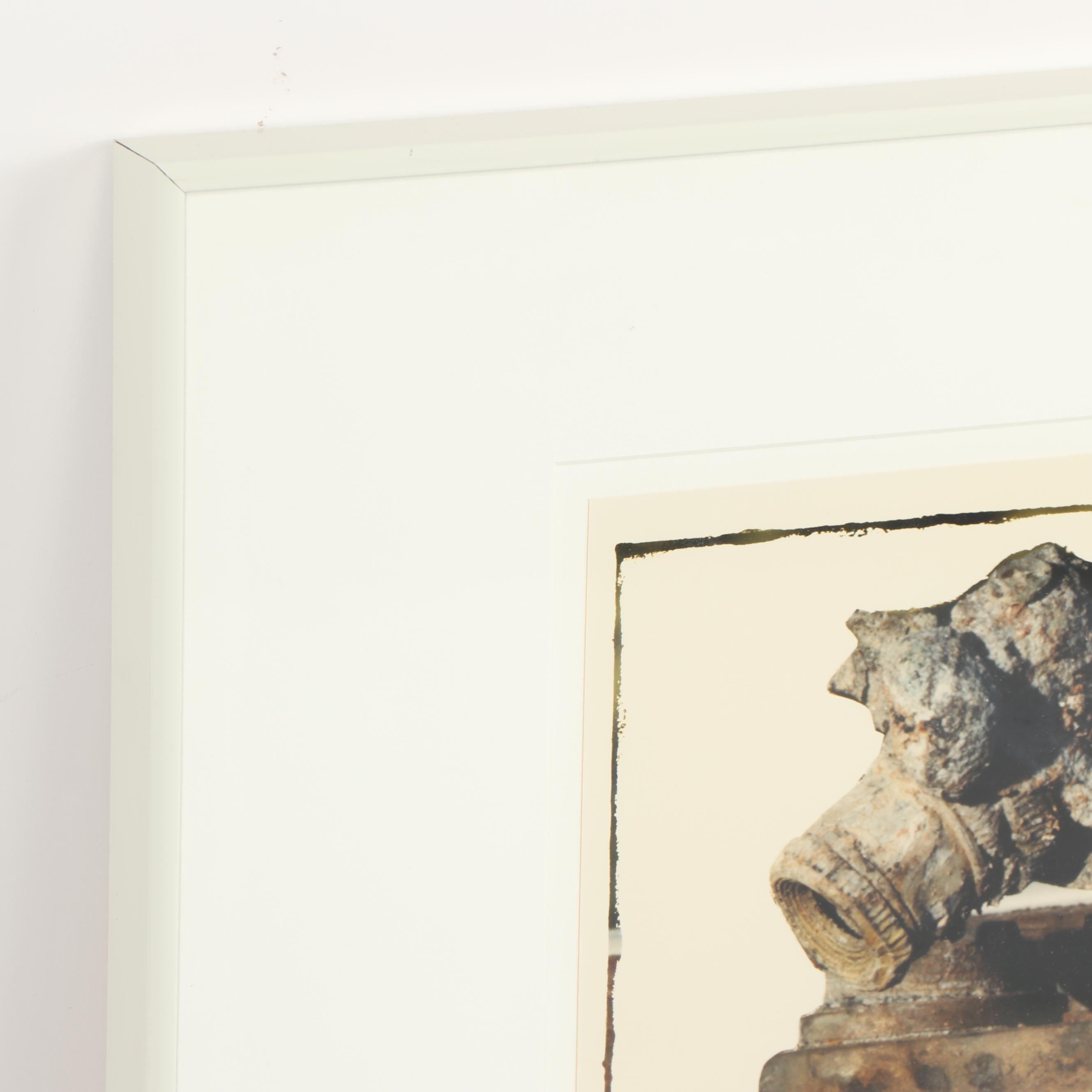 Daniel Katz Color Photograph