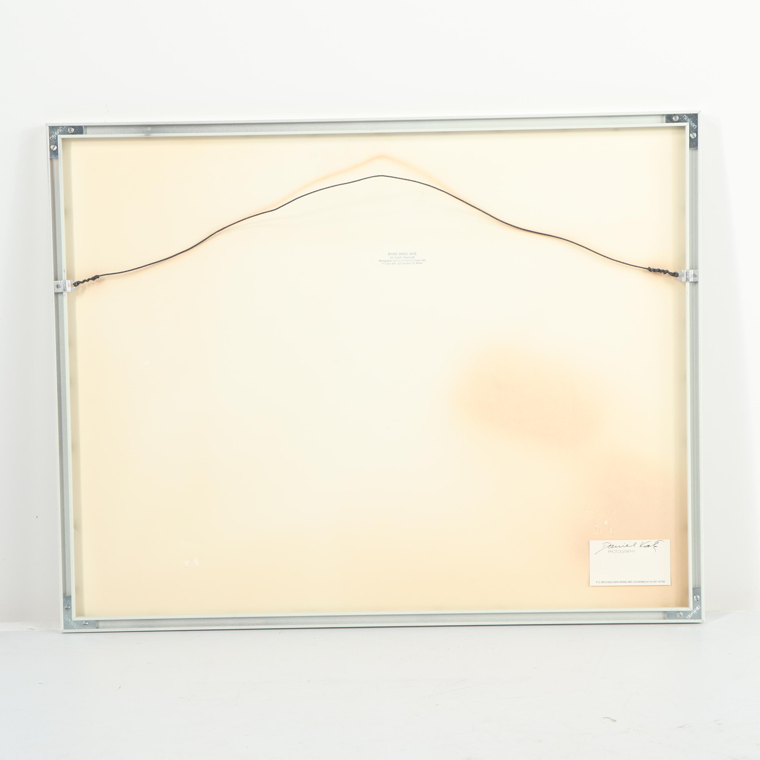 Daniel Katz Color Photograph