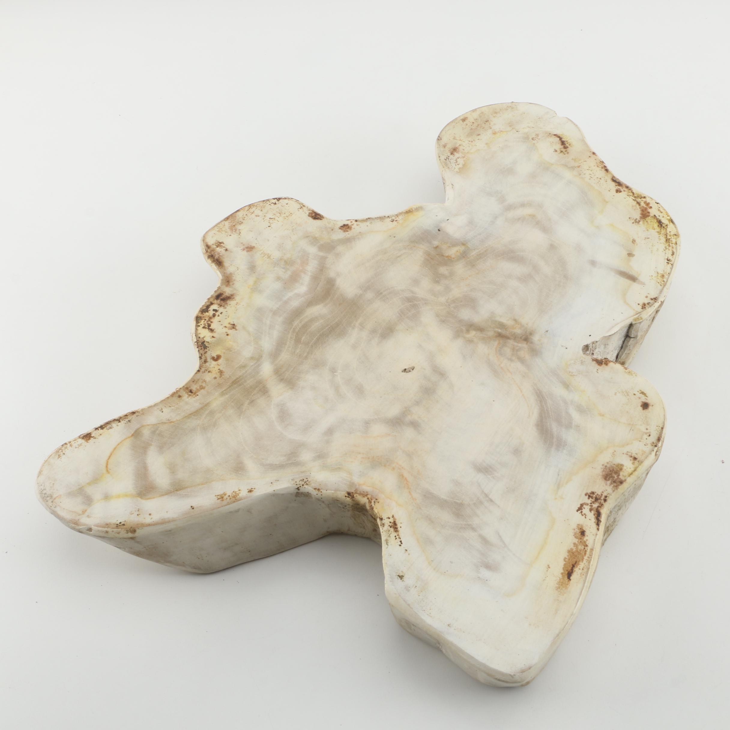 Painted Wood Slab Tabletop Panel