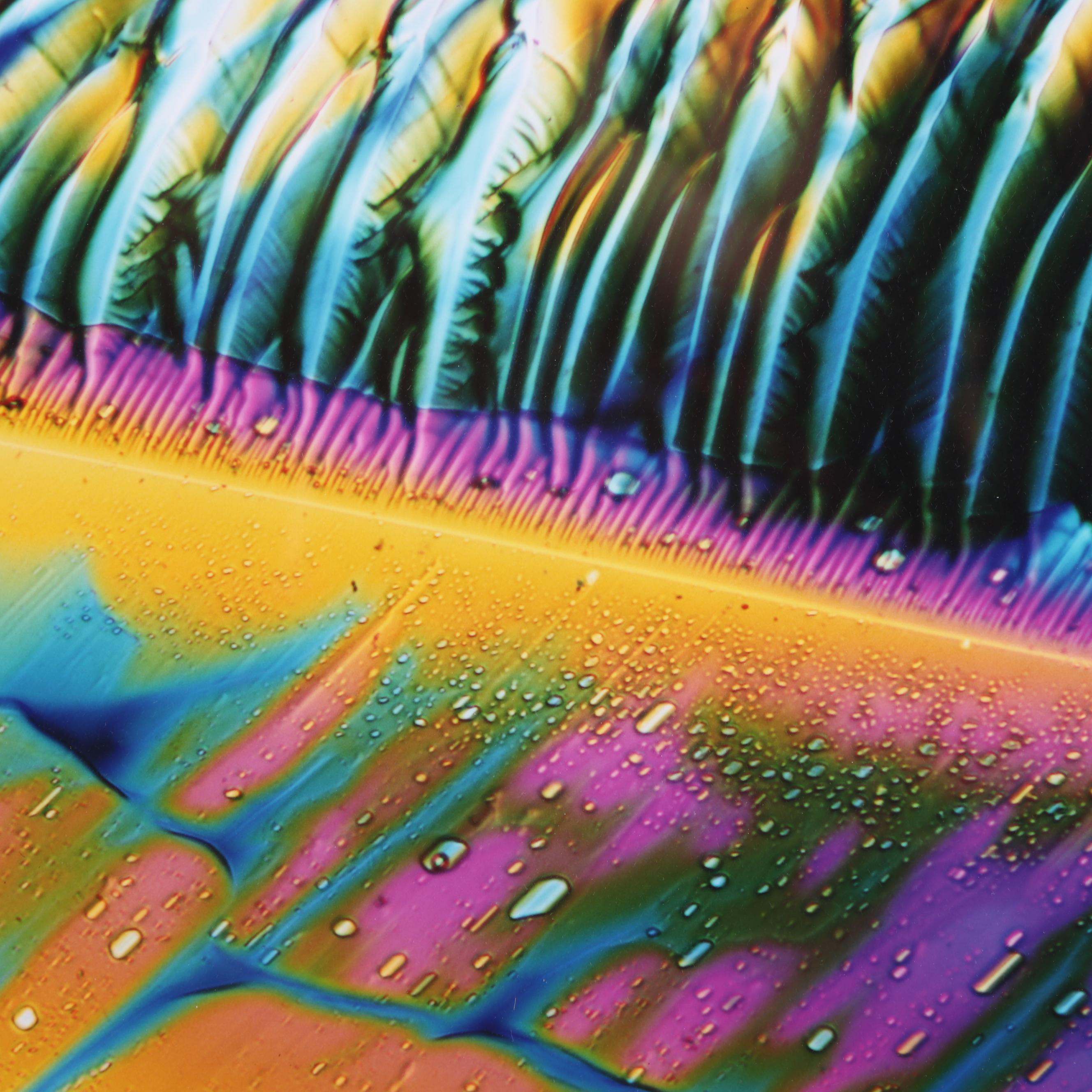 Dennis Kunkel Microscopic Color Photograph "Starstreams"