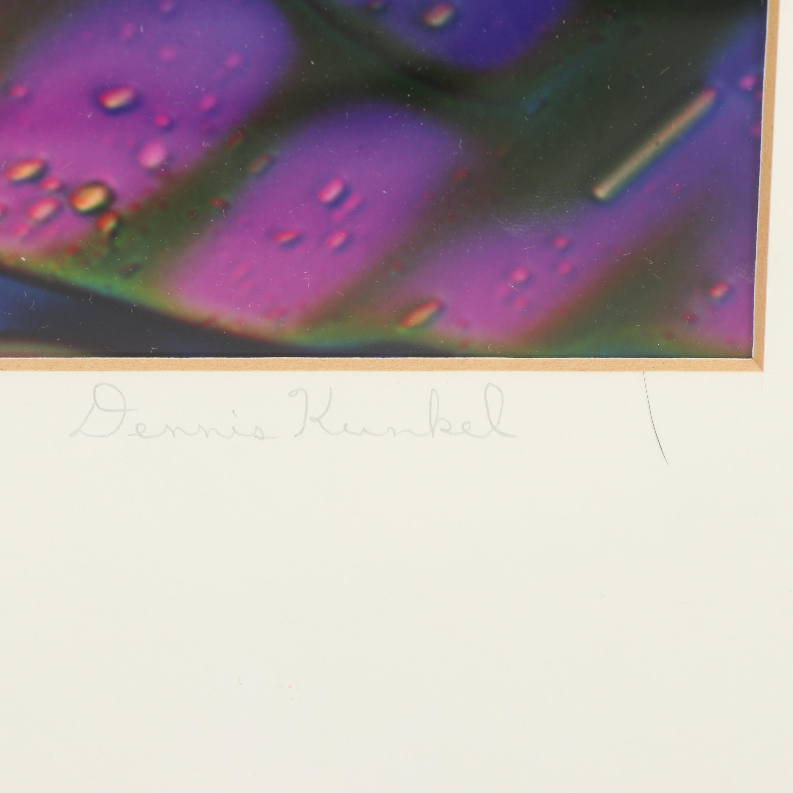 Dennis Kunkel Microscopic Color Photograph "Starstreams"