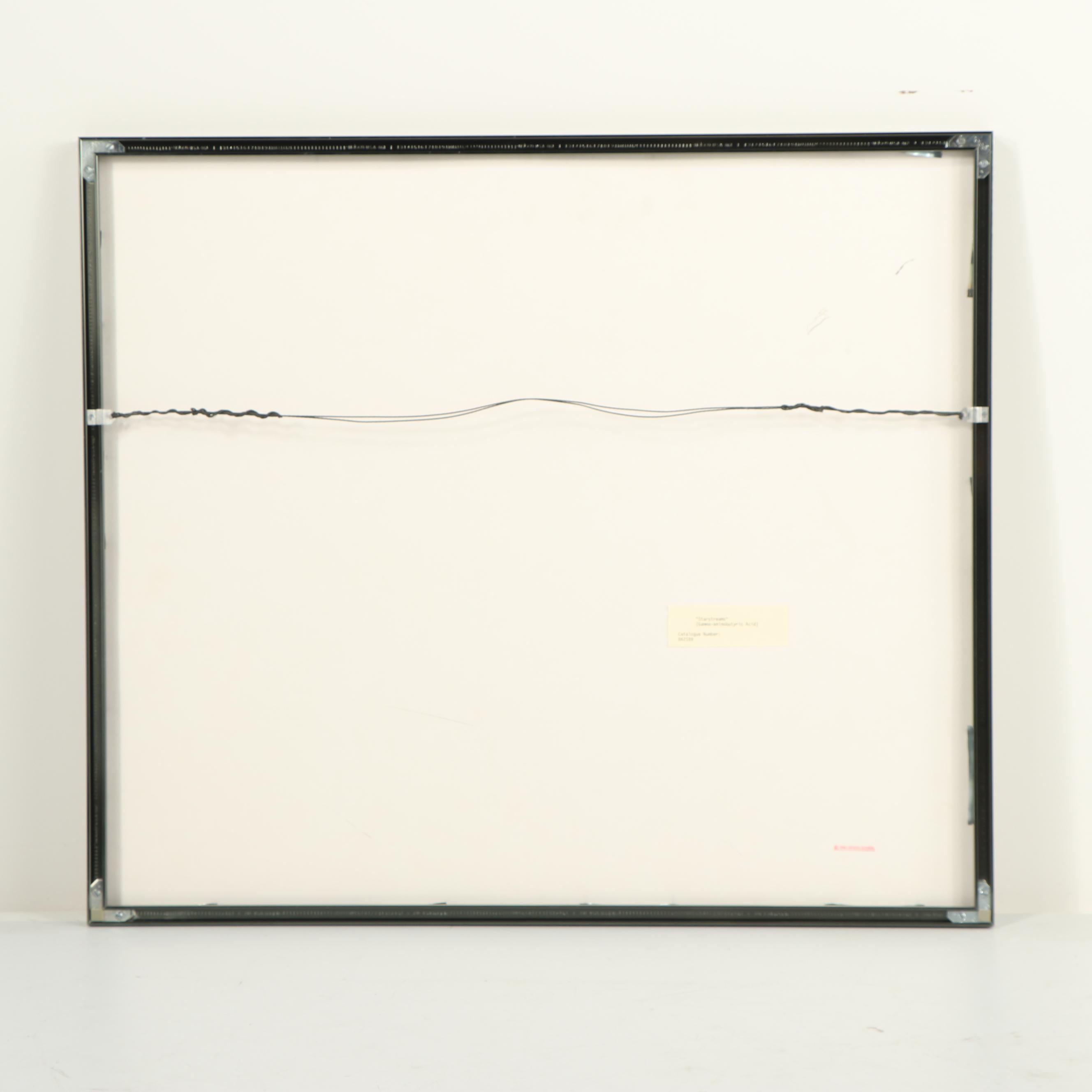 Dennis Kunkel Microscopic Color Photograph "Starstreams"