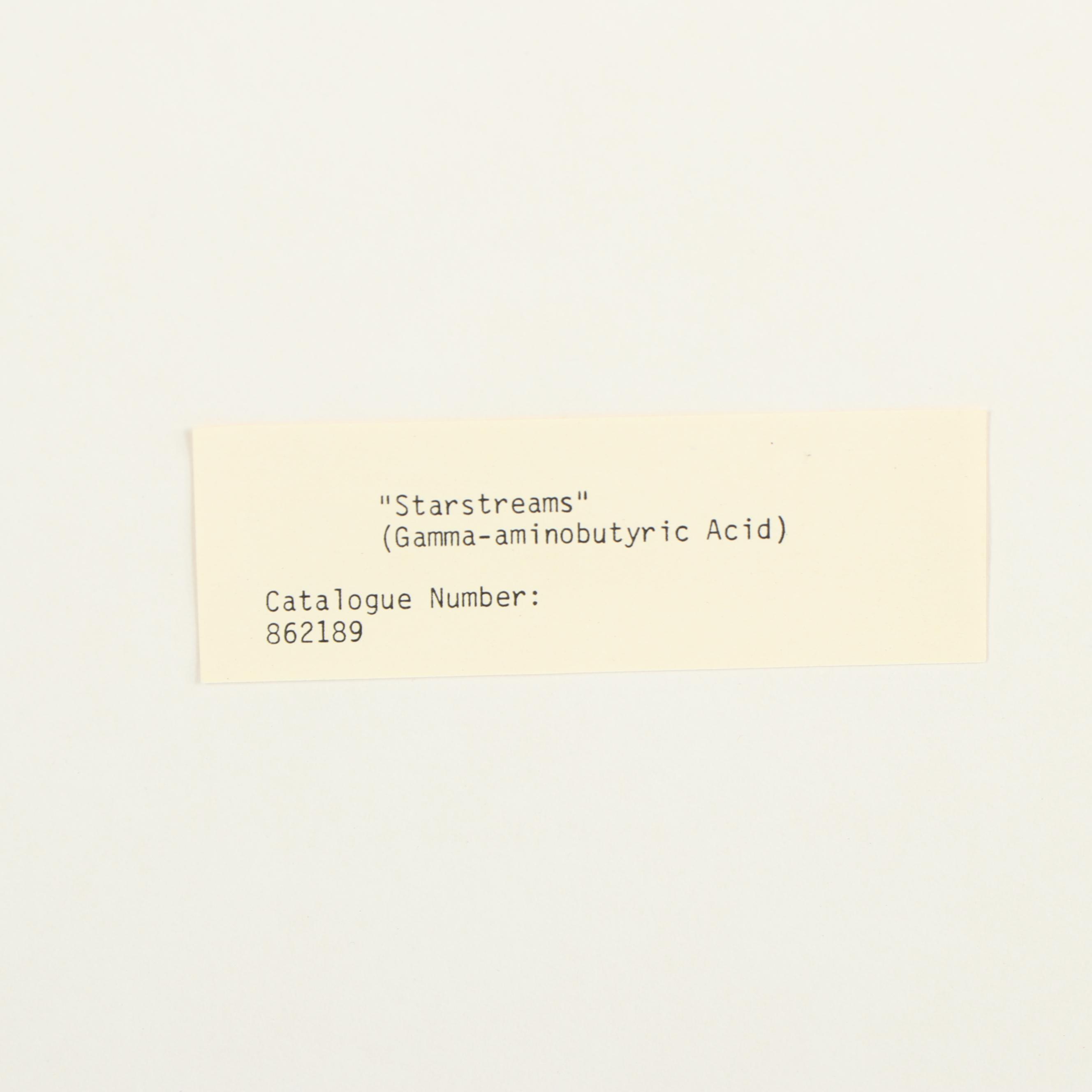 Dennis Kunkel Microscopic Color Photograph "Starstreams"