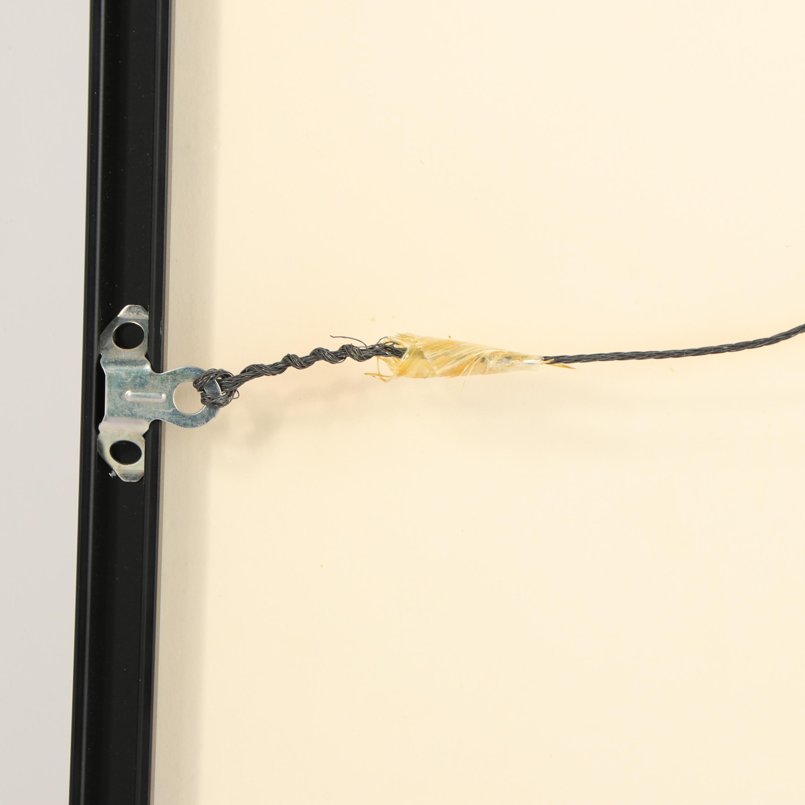 Chuck Jones Signed 1979 Hand-Painted Production Cel "Wile E. Coyote"