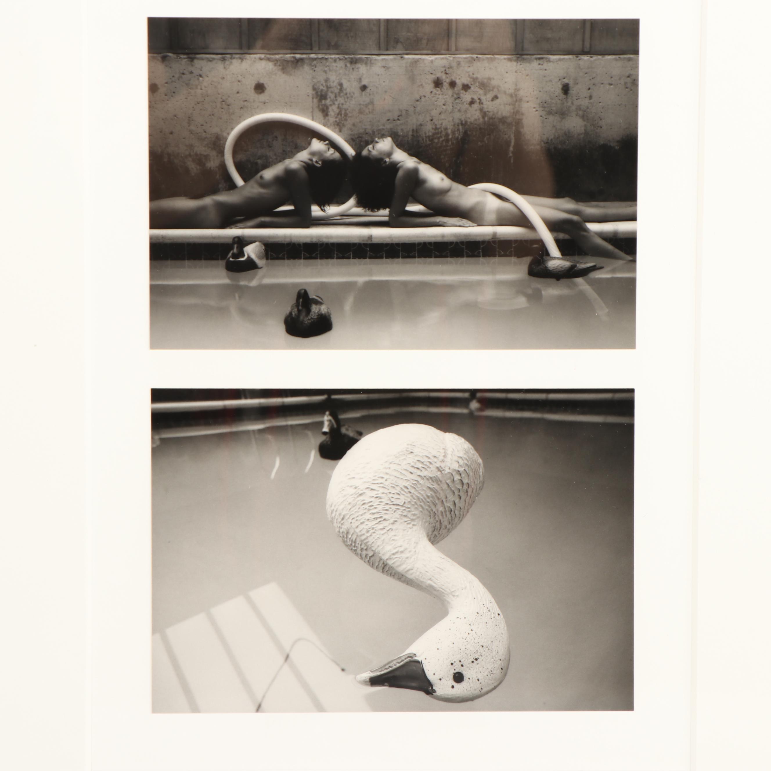 Marsha Burns Gelatin Silver Photograph "# 17 Snowgoose Fantasy Sequence"