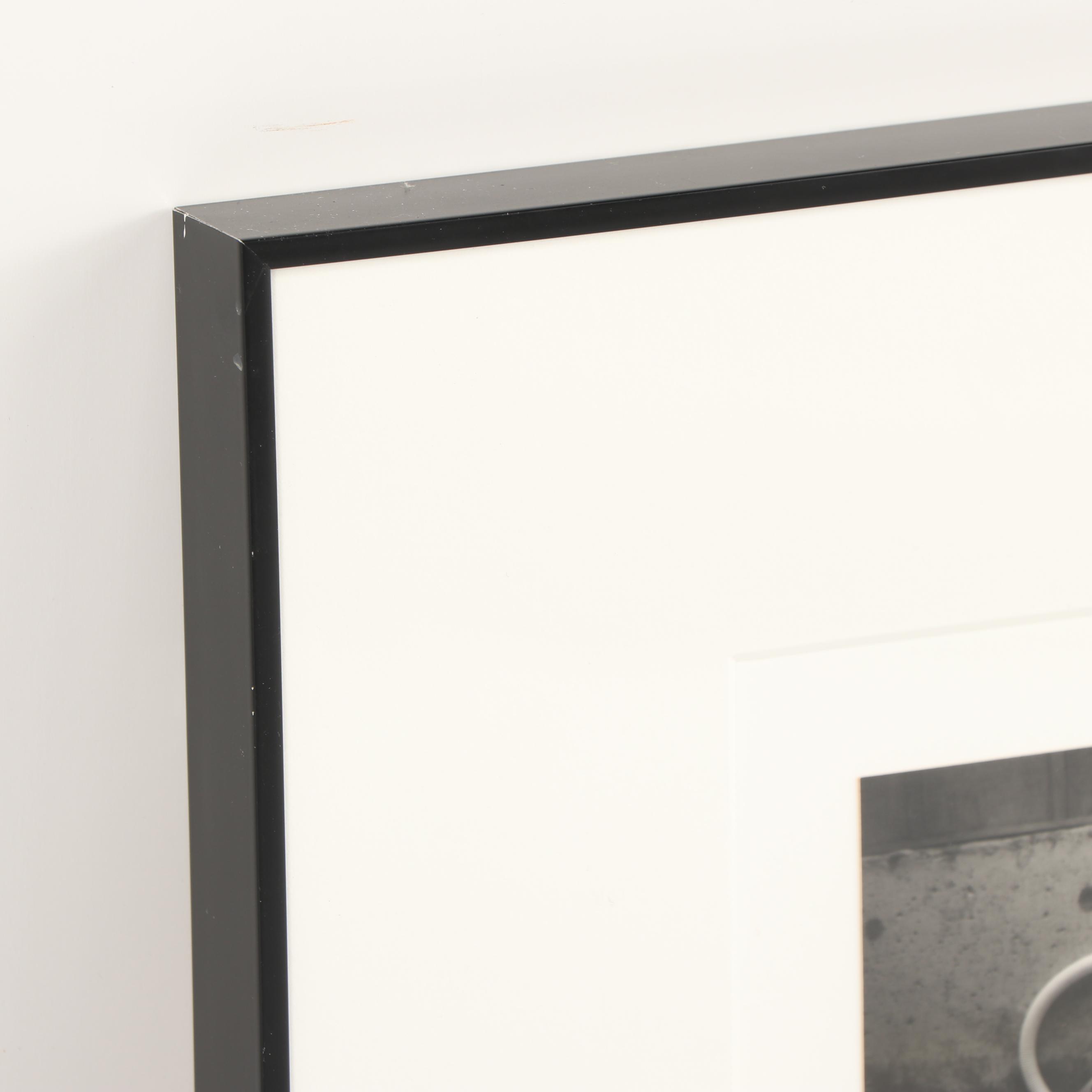 Marsha Burns Gelatin Silver Photograph "# 17 Snowgoose Fantasy Sequence"