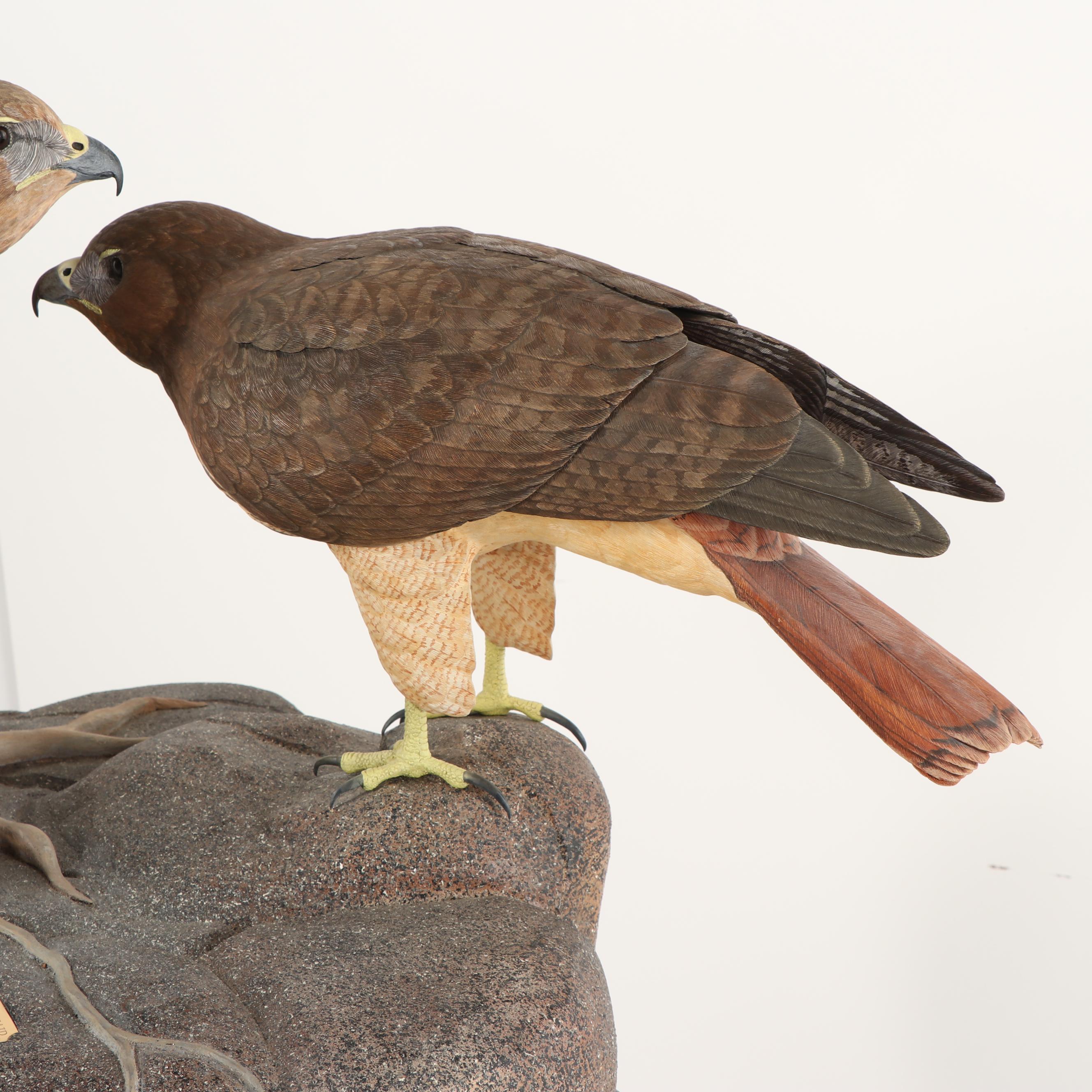 Don Osier "Rocky Affair" Carved Wood Sculpture depicting Red Tailed Hawks