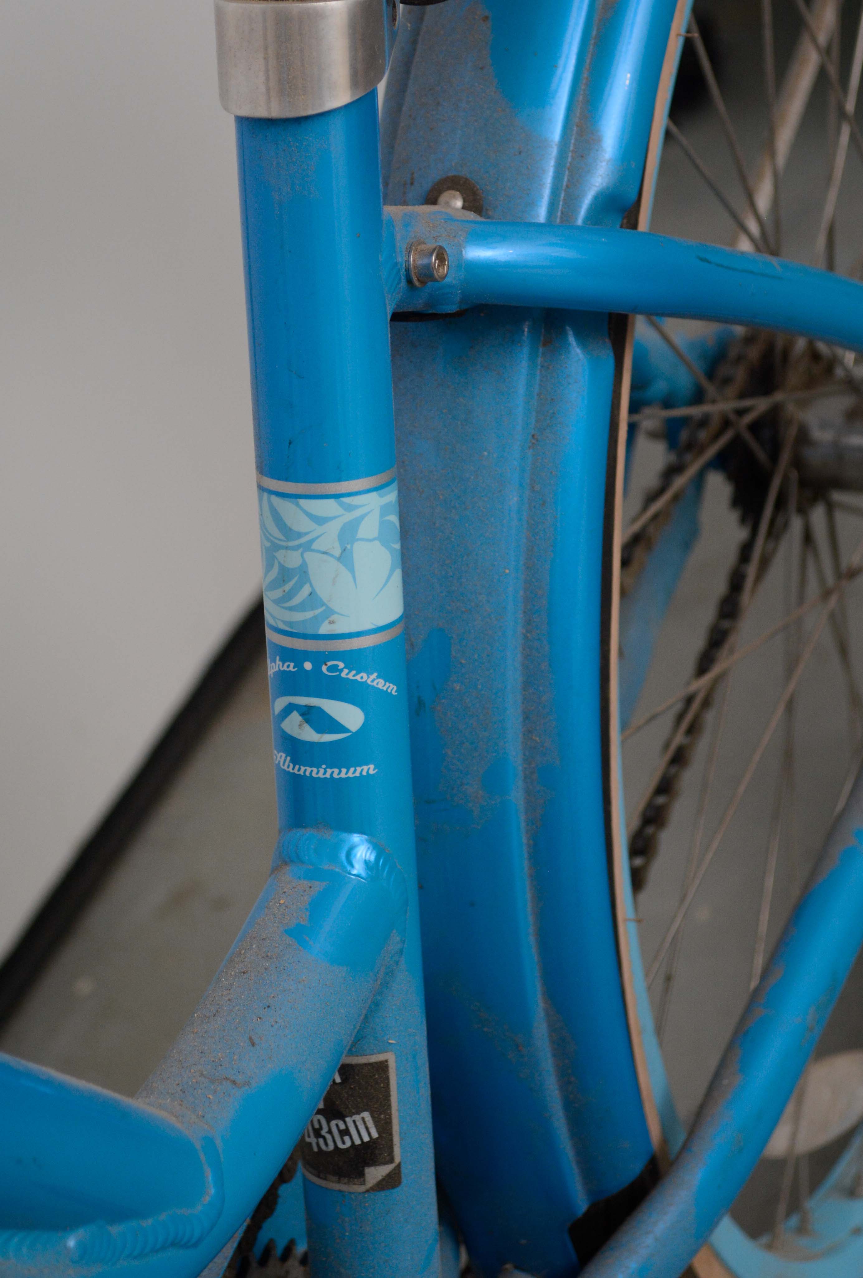 Trek Alpha Classic Women's Cruiser Bicycle