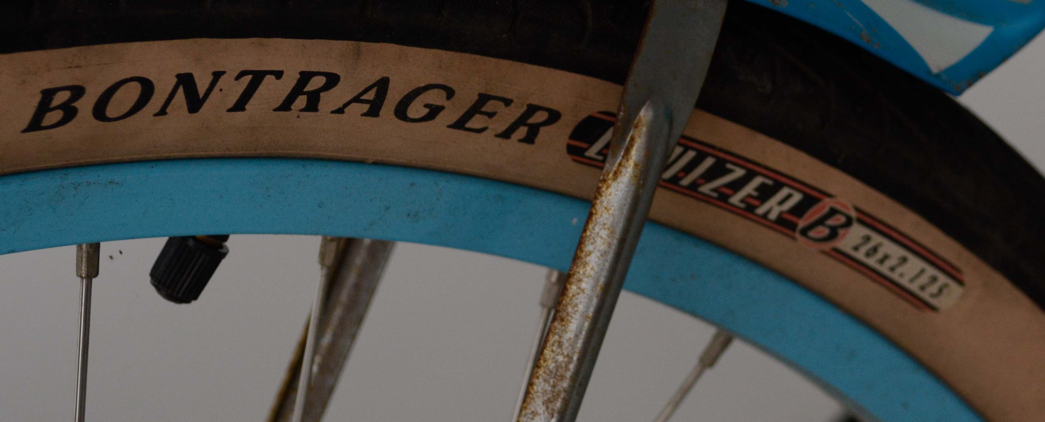 Trek Alpha Classic Women's Cruiser Bicycle