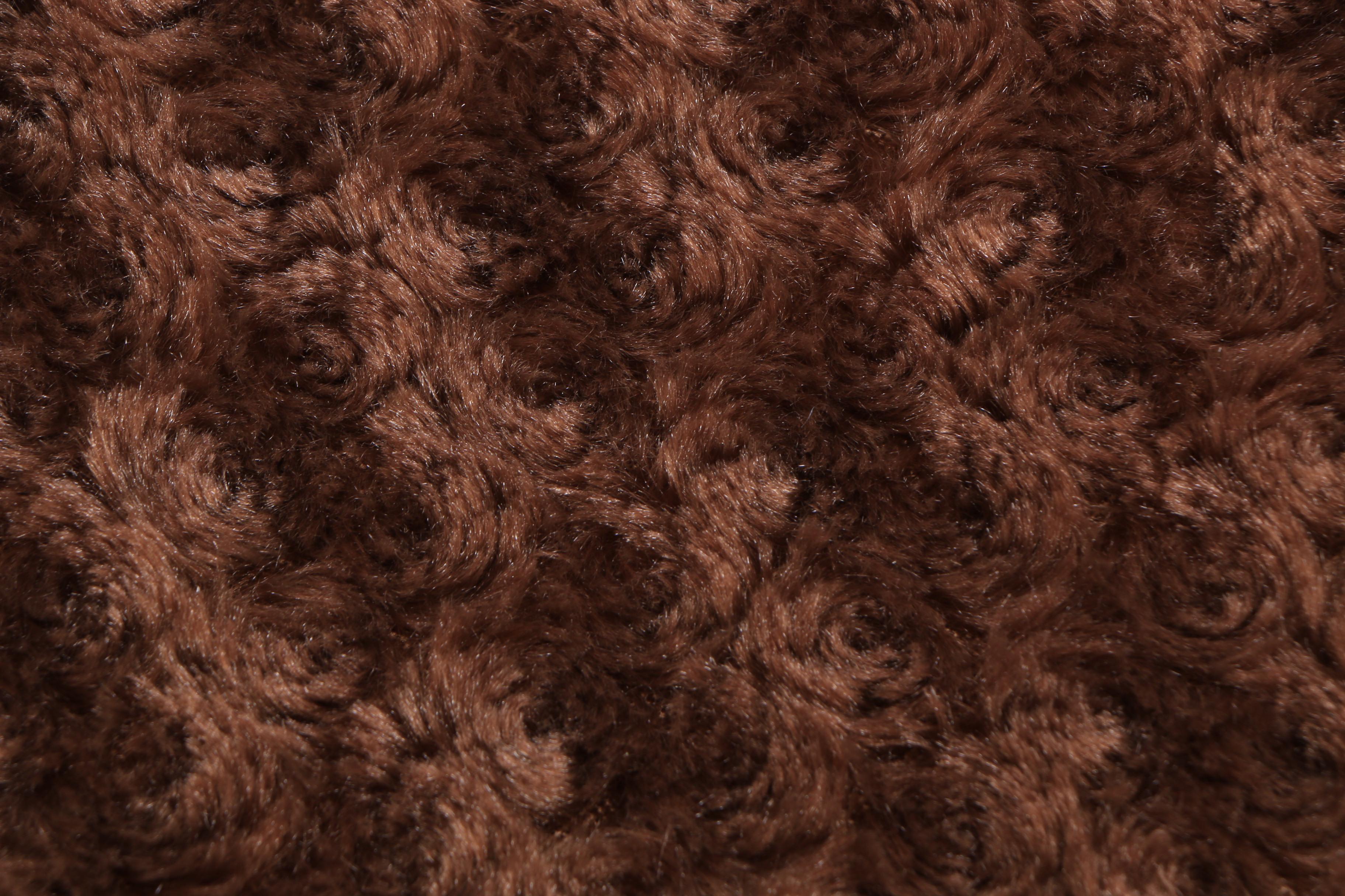 Petco Large Premium Ortho Dog Mat